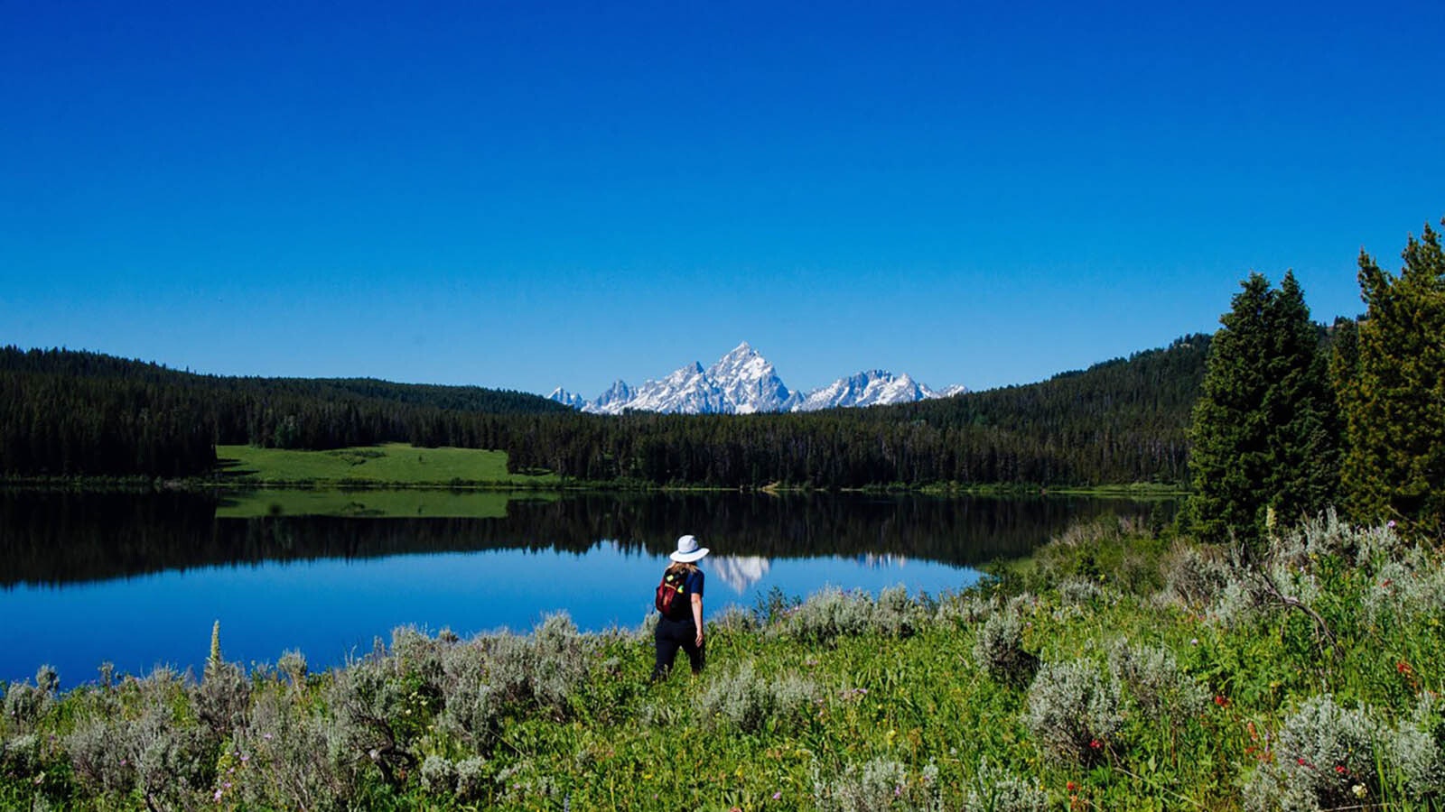 Two Ocean Lake in the Teton Wildnerness of Wyoming.