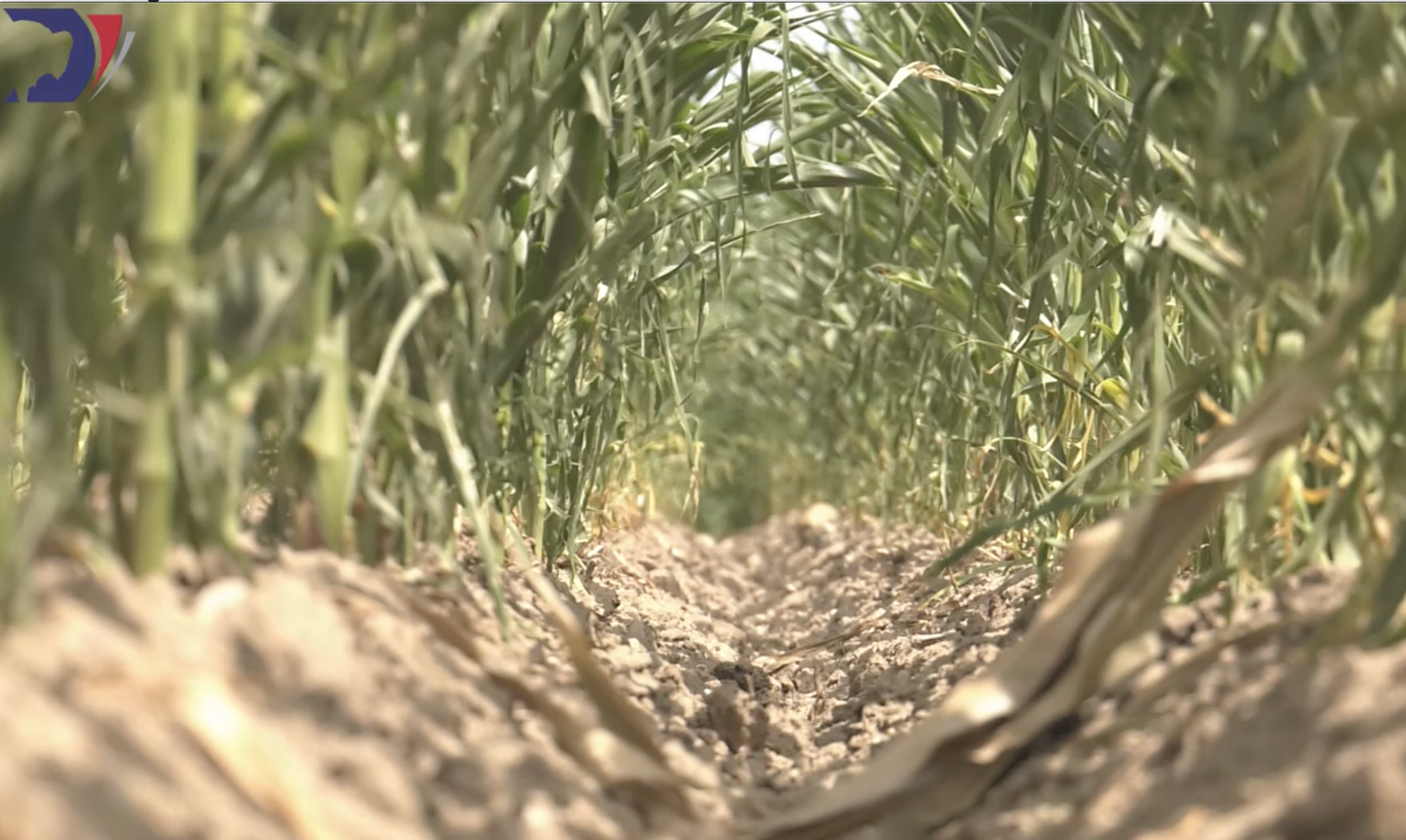 USDA crop insurance approved