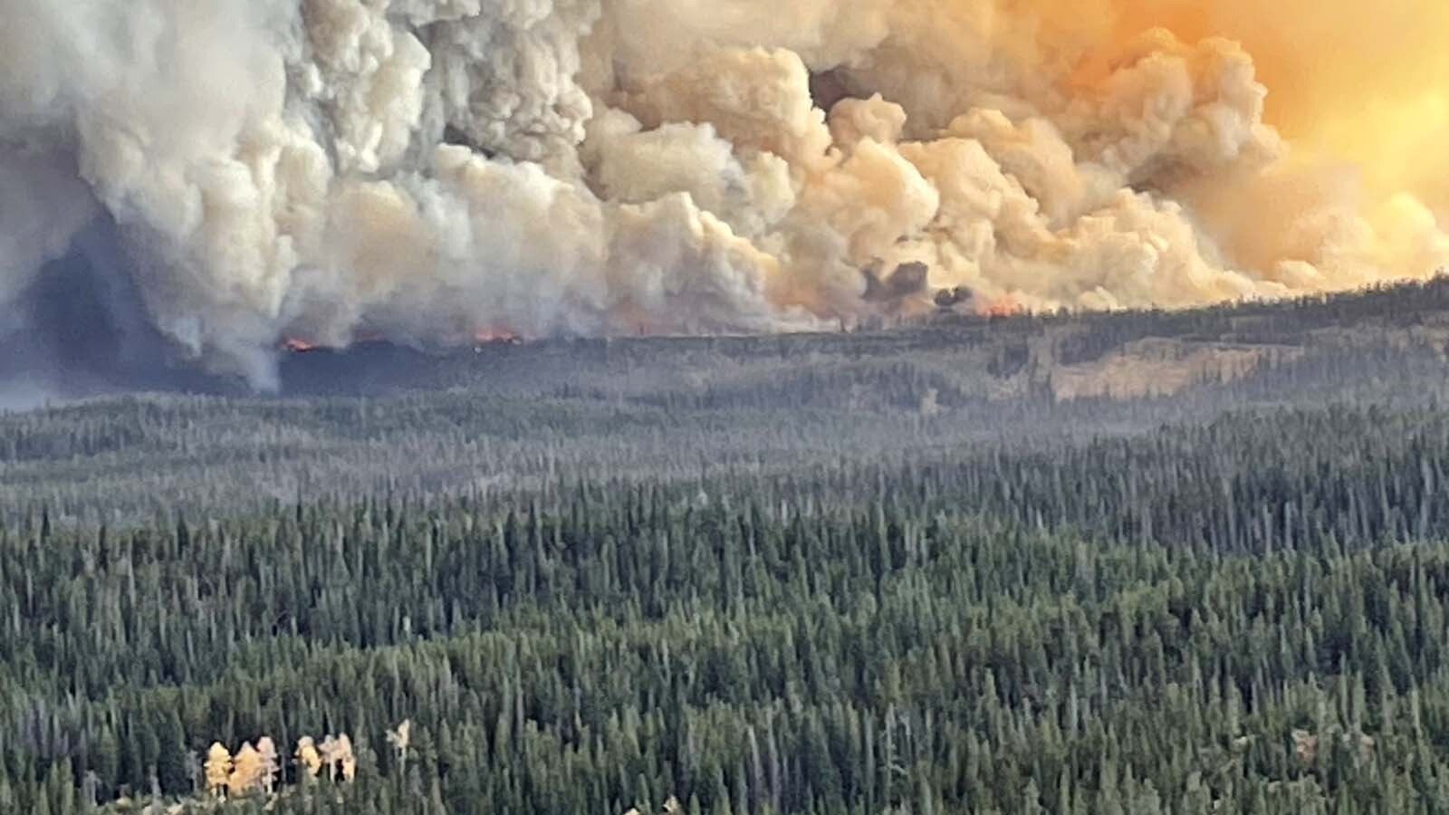 The fast-growing Pack Trail Fire just southeast of the Fish Creek Fire has grown rapidly, with firefighting crews now treating the two fires as a single Fish Creek/Pack Trail complex. Both are burning in the Shoshone National Forest and threatening Highway 26 and nearby residential areas.