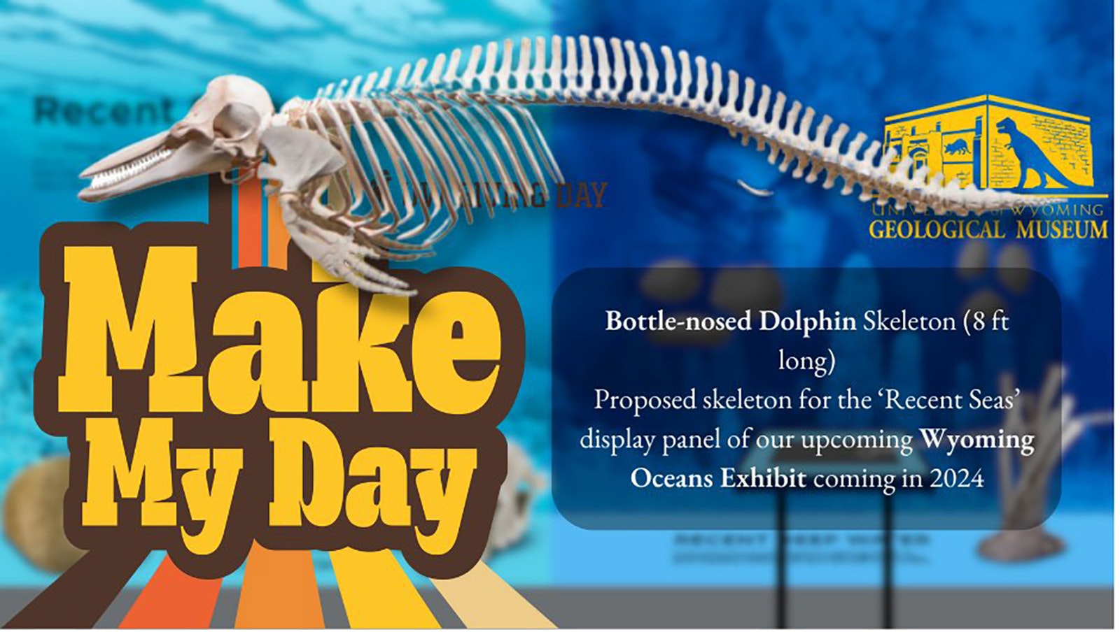 University of Wyoming promotional art of its effort to get a dolphin skeleton.