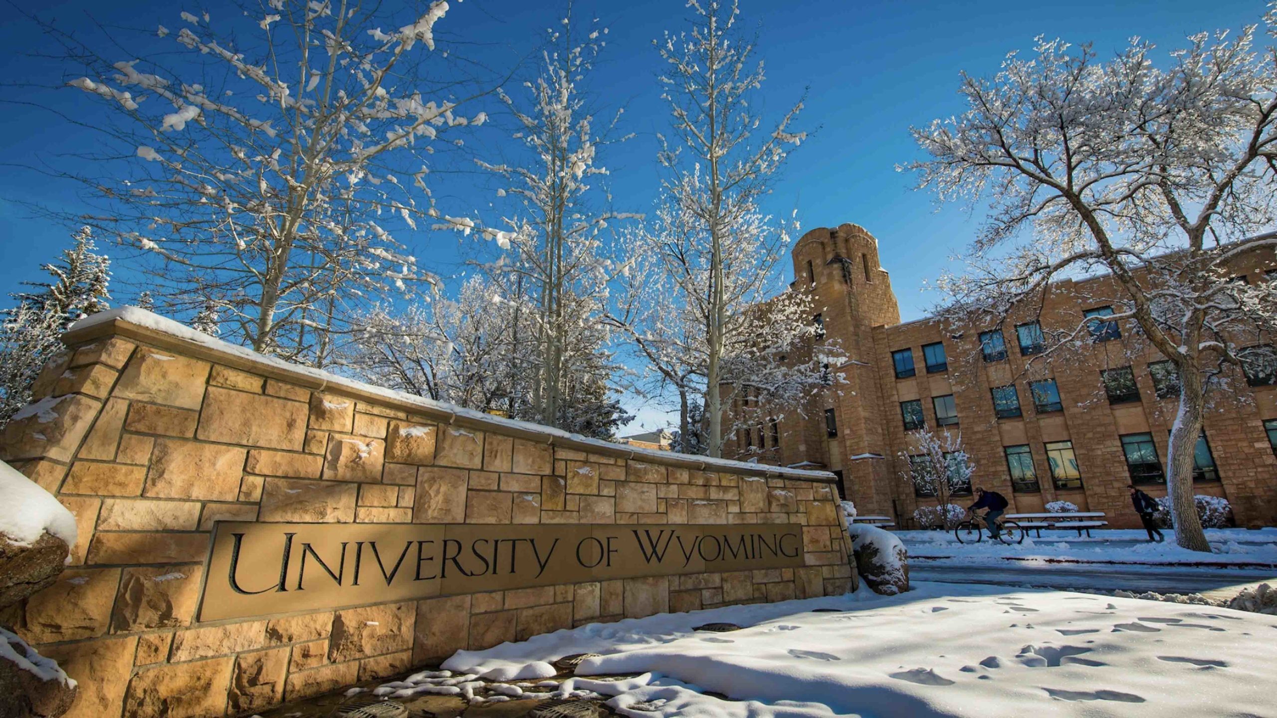 UW snow 3 23 22 scaled