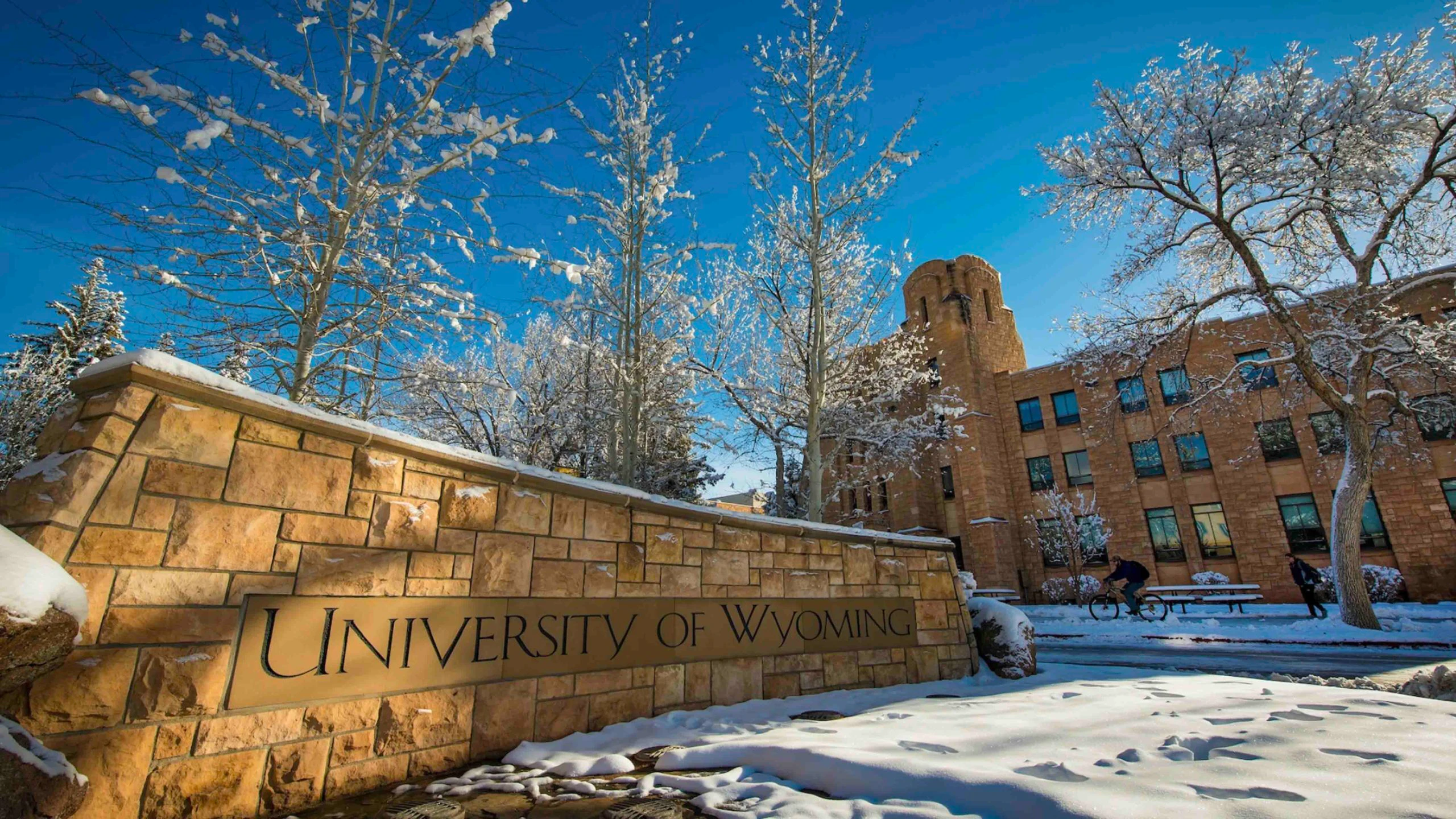 UW snow 3 23 22 scaled