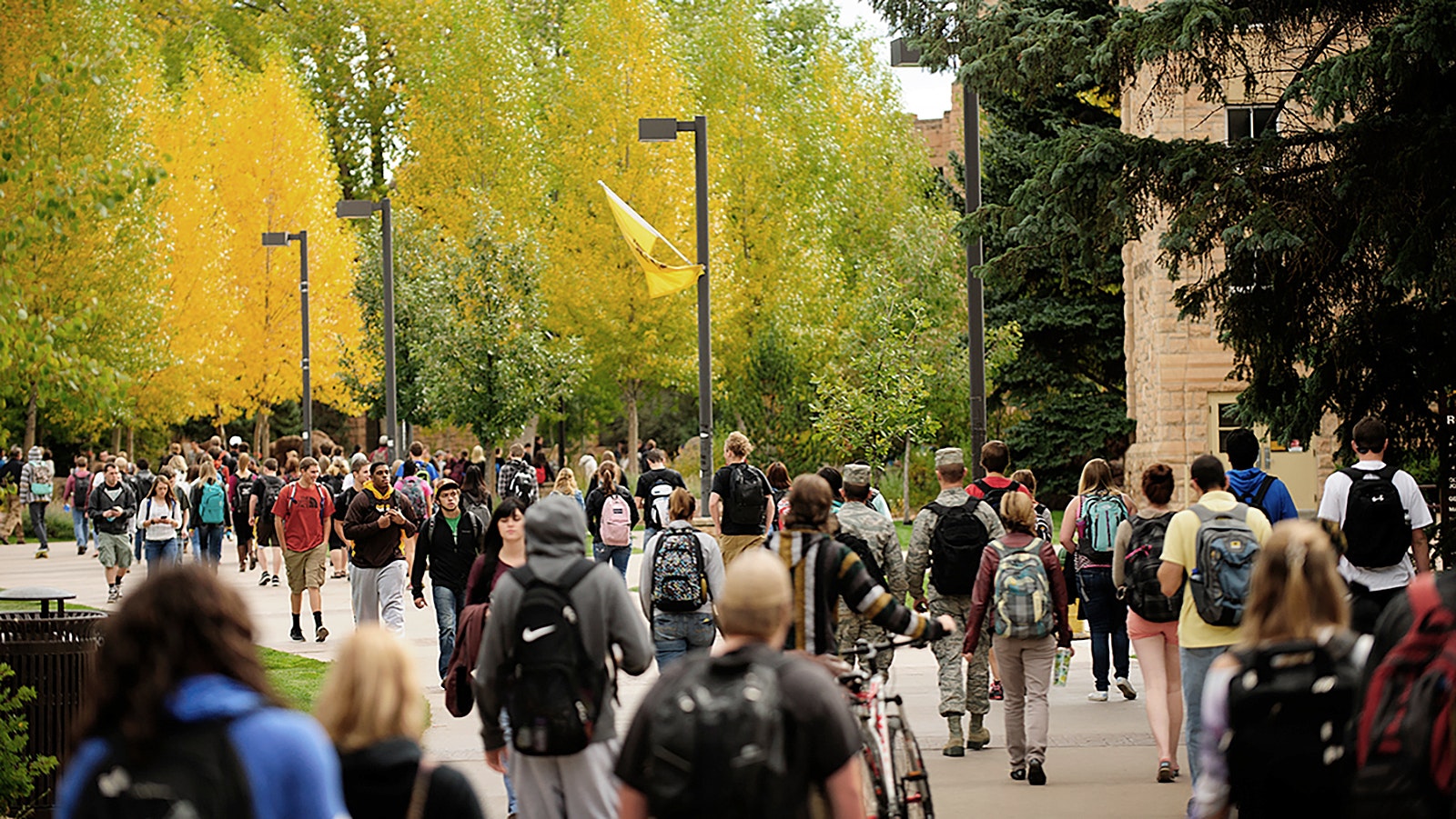 Retaining Wyoming talent to work in state after attending the University of Wyoming, and beyond, is the idea behind a new jobs board that identifies opportunities to work in or remotely from Wyoming.