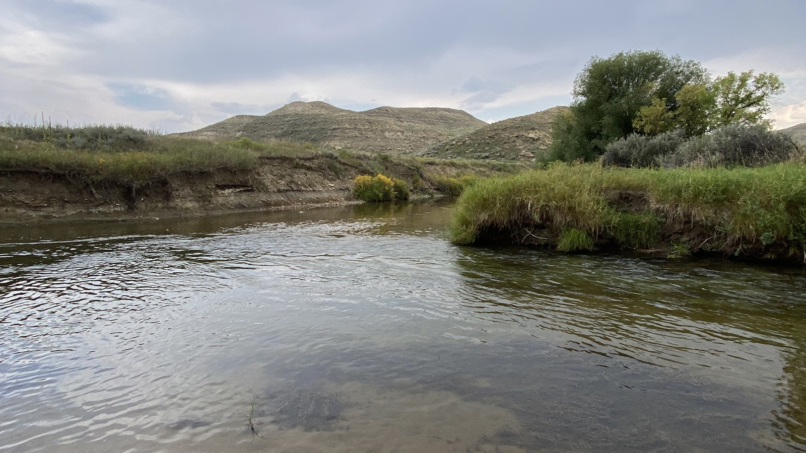Ucross, Wyoming, population 26, triples in size when artists join the residency. The Wyoming scenery and wide-open spaces inspire artists, composers, writers and performers from across the United States who come to immerse themselves in both their art and Wyoming.