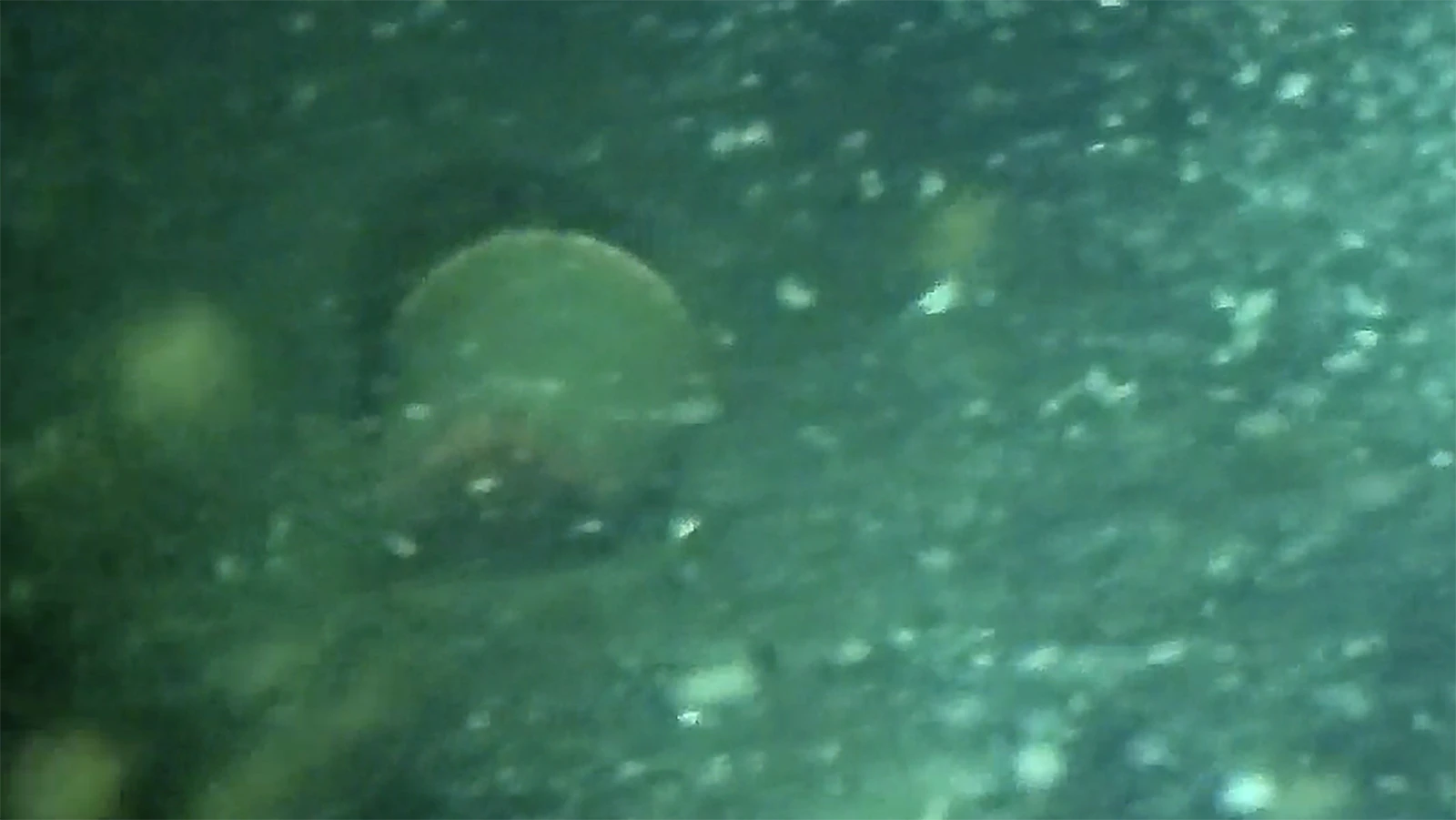 Underwater drone footage shows what appears to be a galvanized trash can on the bottom of Lake Fremont, approximately 430 feet beneath the water. Authorities are hoping the trashcan contains the remains of the two missing boys, Richard and Reagan Uden, who were murdered by their stepfather, Gerald Uden, in 1980.