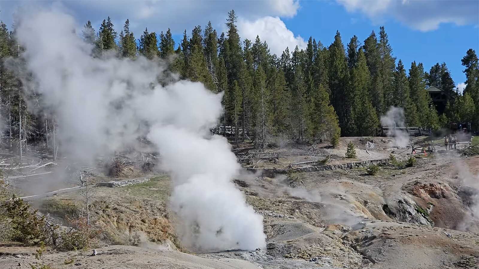 Valentine Geyser in the Norris Geyser Basin in Yellowstone National Park unexpectedly sprang to life again with 13 documented eruptions in 2025. It's the first eruptions for the lovingly-named geyser in 20 years.