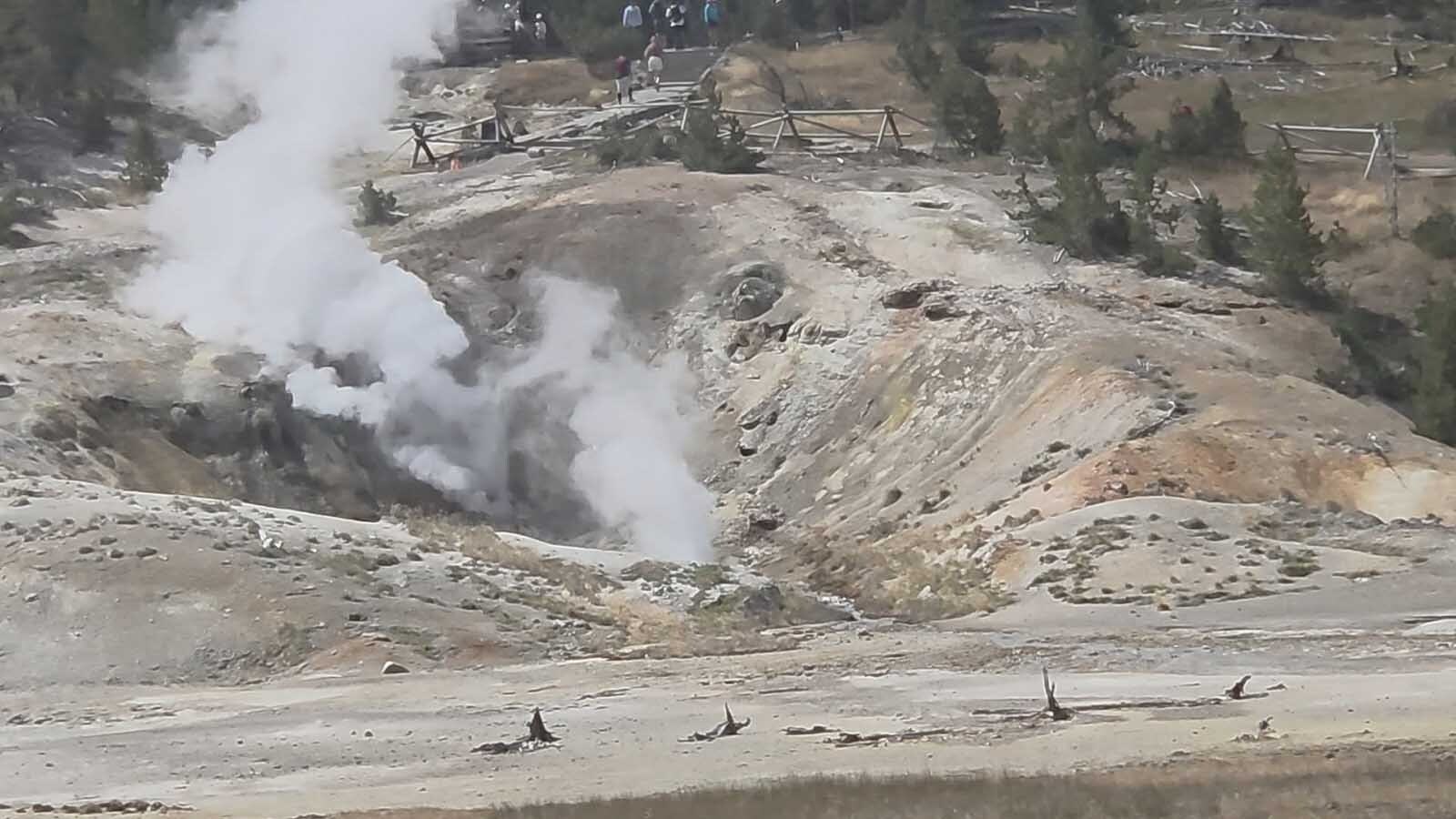 Valentine Geyser in the Norris Geyser Basin in Yellowstone National Park unexpectedly sprang to life again with 13 documented eruptions in 2025. It's the first eruptions for the lovingly-named geyser in 20 years.