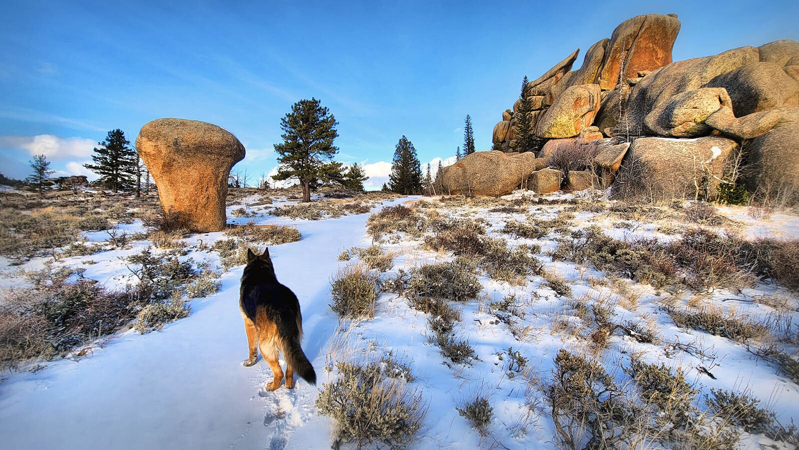 Dana Gage frequently enjoys walking through the natural beauty of Vedauwoo in Medicine Bow-Routt National Forest with his German shepherd Klaus.