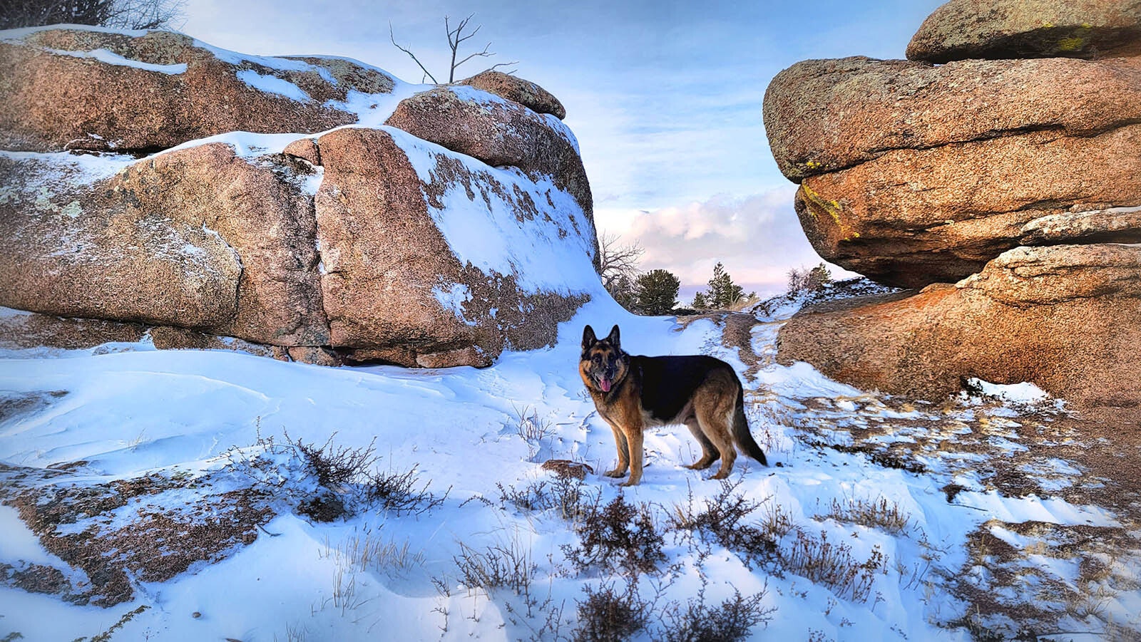 Dana Gage frequently enjoys walking through the natural beauty of Vedauwoo in Medicine Bow-Routt National Forest with his German shepherd Klaus.