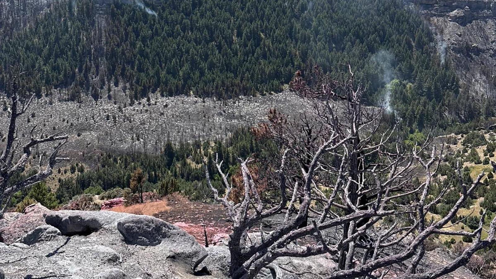 The Vees Fire burning in steep, rugged terrain about 13 miles southeast of Ten Sleep, Wyoming.