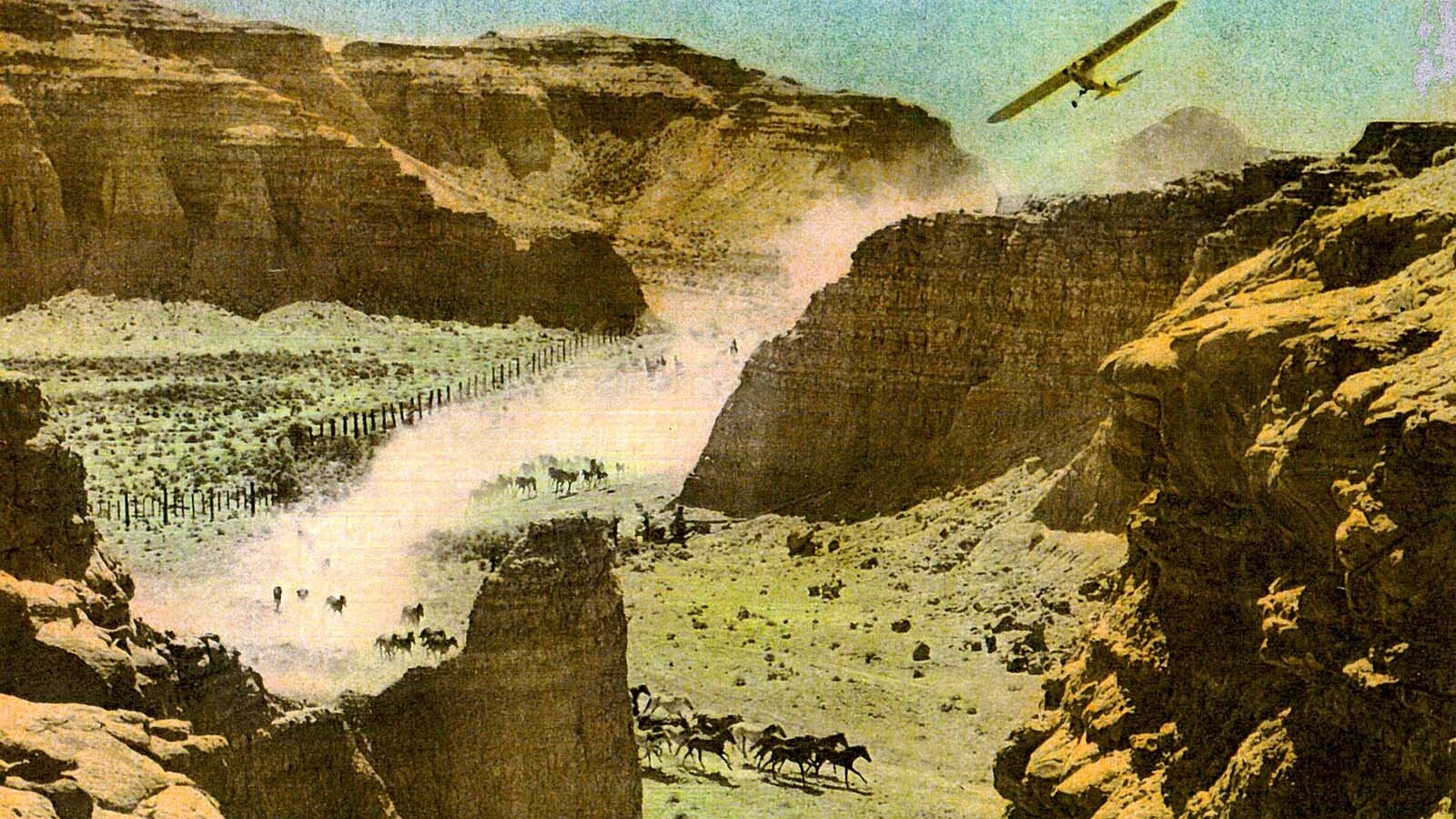 Pilots would buzz the wild horses of the Red Desert in order to guide them into corrals and fenced in canyons.