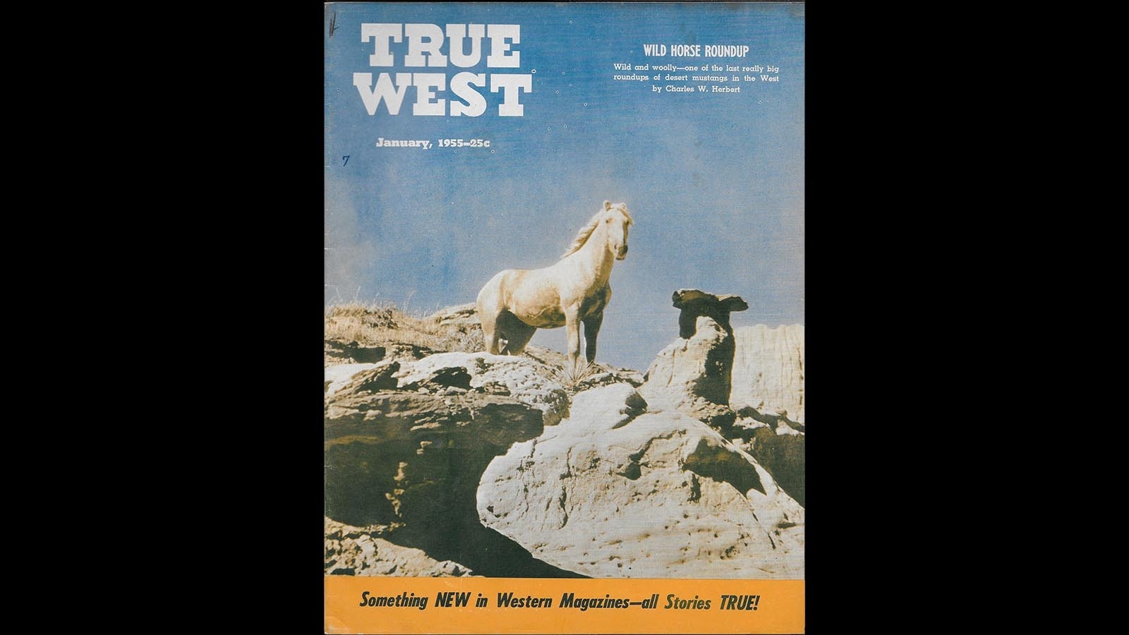 Desert Dust was on the cover of the True West magazine in January 1955, representing the last roundups of the desert mustangs in Wyoming.