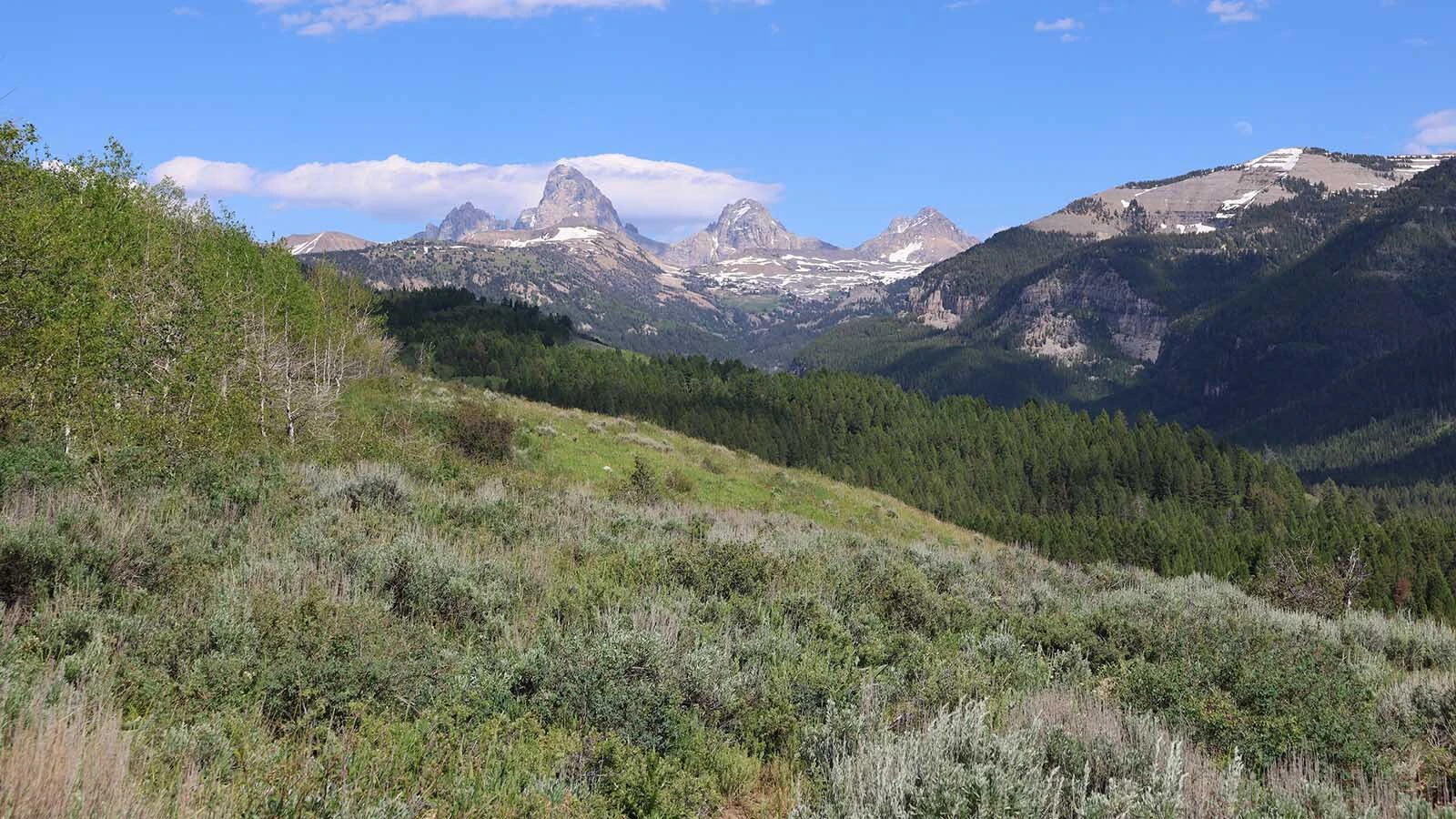 A view of the Tetons from Ski Hill Road above Alta, Wyoming.