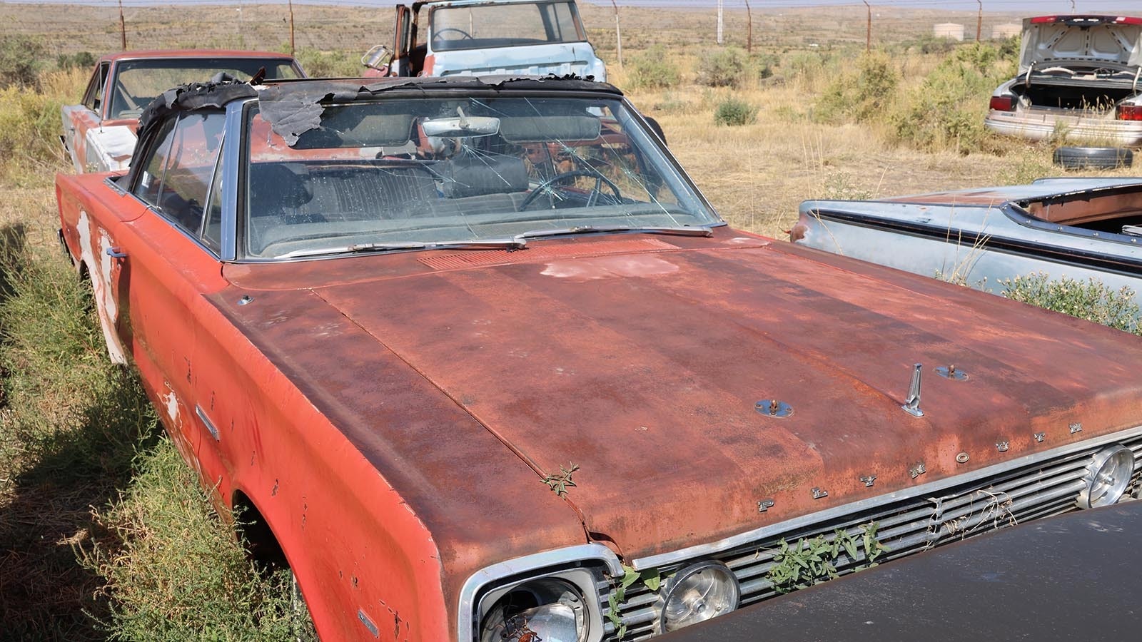 A 1966 Plymouth Belvedere convertible with head rests – a rare option.