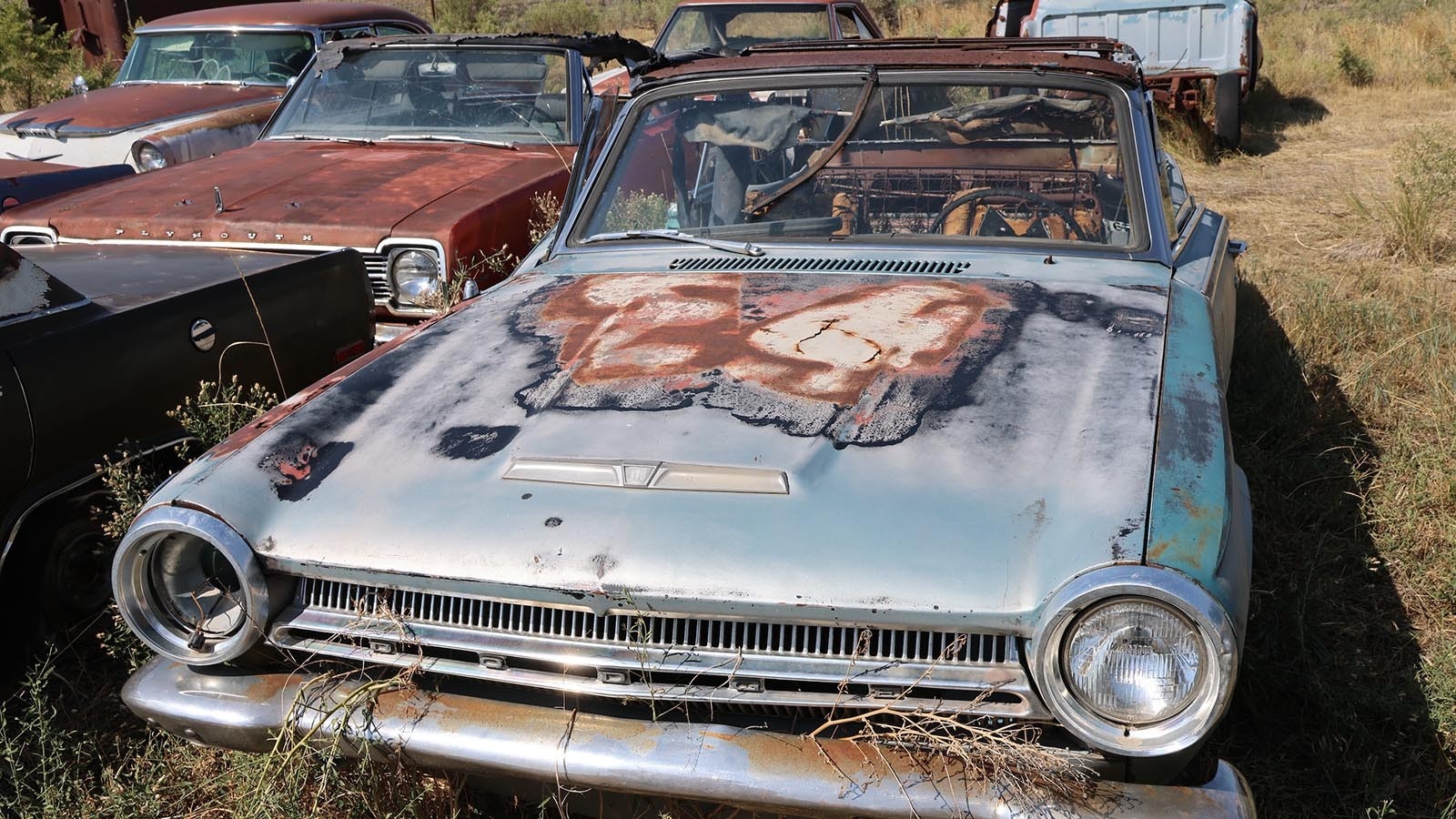 A Dodge convertible in the collection, awaiting the hands of a craftsman. Convertibles bring more money, but a more work to restore.