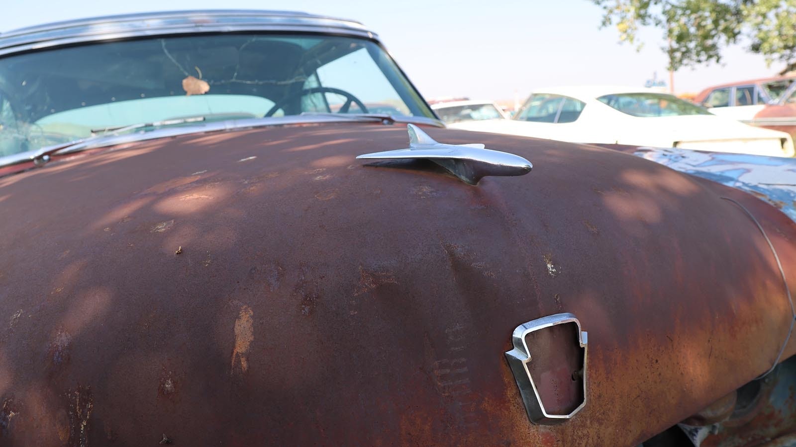 The jet airplane hood ornament on the 1954 Ford Skyliner.