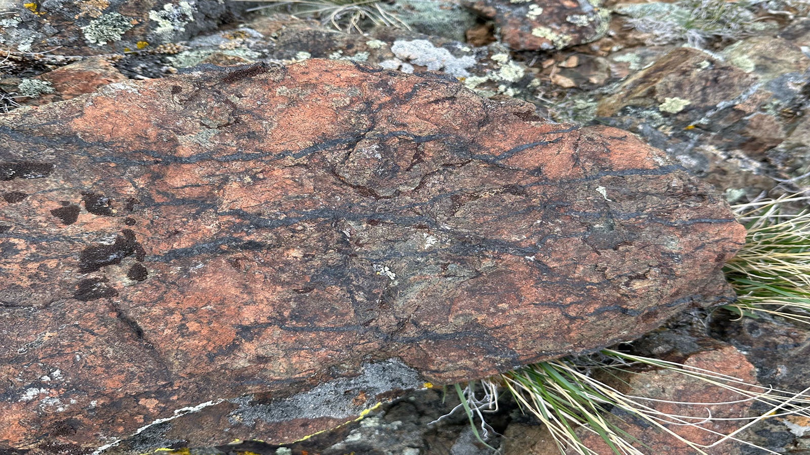 Close up of nickel-bearing magmatic rock at surface found by Visionary Metals Corp. in the Granite Mountains.