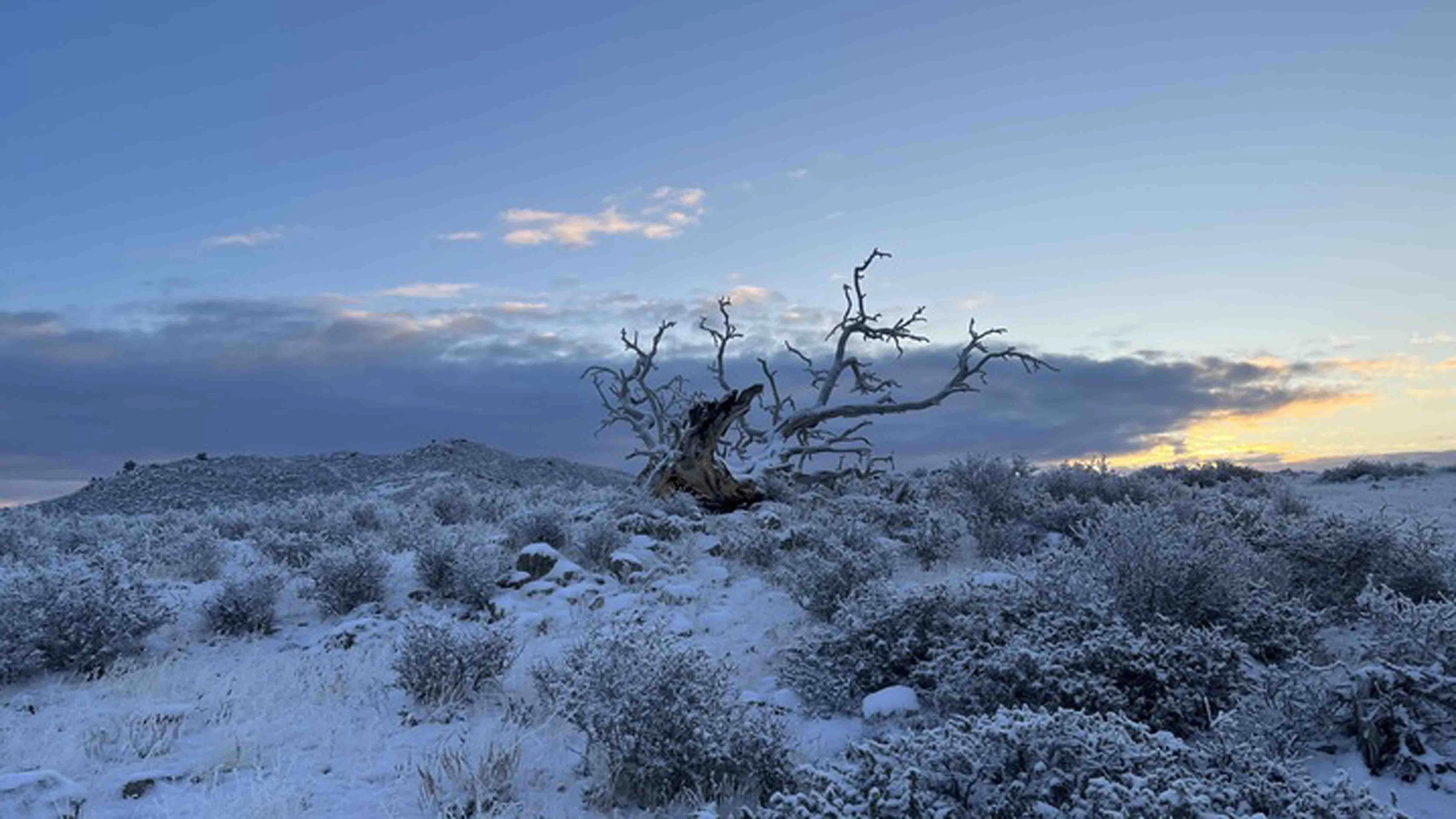 WYO Sunrise 10 31 23 v2