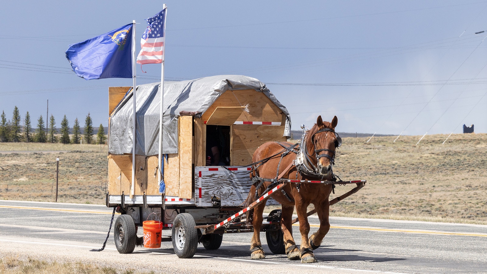 A man known as Lee The Horselogger was in Wyoming this week on a cross-country journey by horse-drawn wagon with an ultimate destination of Boston. He explained to Cowboy State Daily that he likes huge draft horses better than “little horses.”