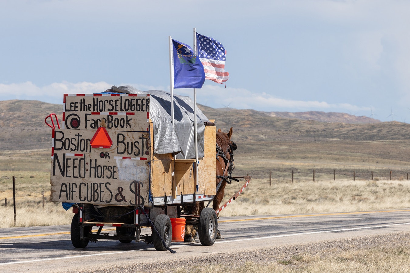 A man known as Lee The Horselogger was in Wyoming this week on a cross-country journey by horse-drawn wagon with an ultimate destination of Boston. He explained to Cowboy State Daily that he likes huge draft horses better than “little horses.”