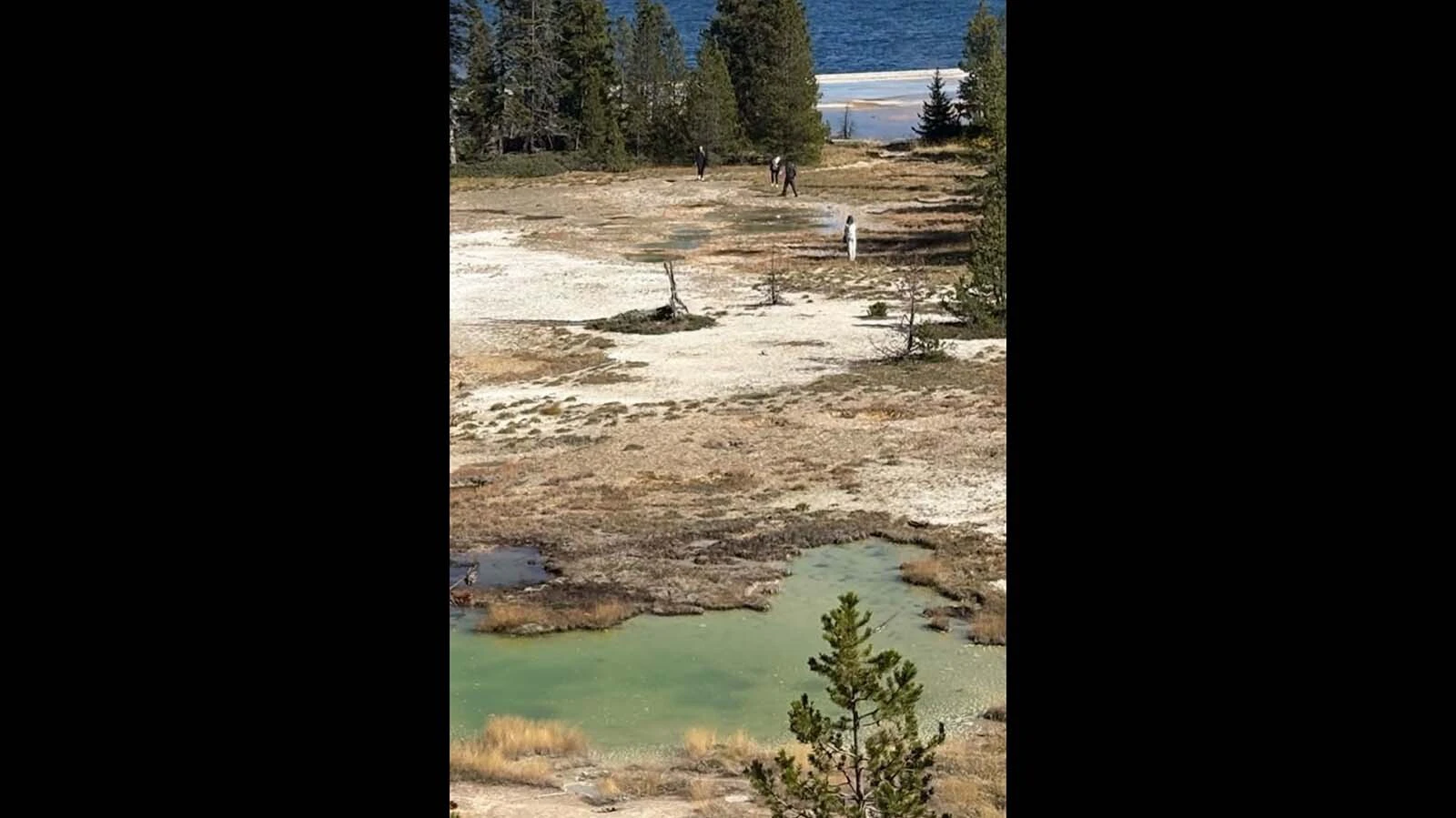 Eileen Gorndt took this photo this week of a group of Yellowstone tourists illegally walking through a restricted thermal area.