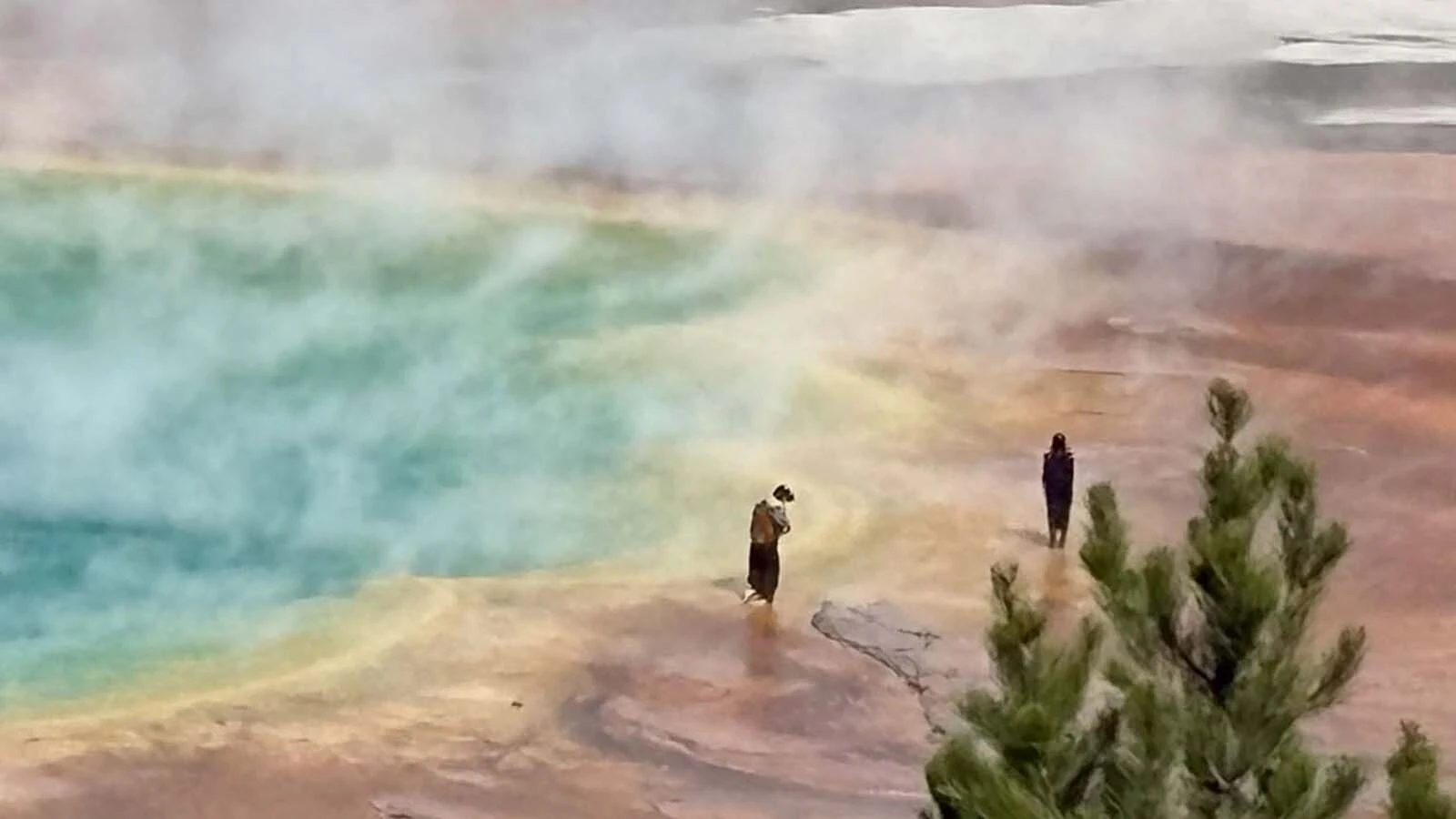 Yellowstone tourists who follow the rules say they’re sick of watching others who won’t walk on thermals and approach wildlife. “My reaction was, ‘Oh my God! They shouldn't be there,’” said Glenn Osborn, who got this photograph last weekend of people at the edge of Grand Prismatic Spring.