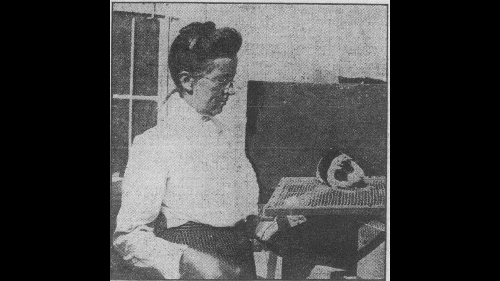 In 1902, Abbie E.C. Lathrop of Granby, Massachusetts, bred the first mice to be used in a lab for genetic research. Lathrop began her new enterprise with two waltzing mice.