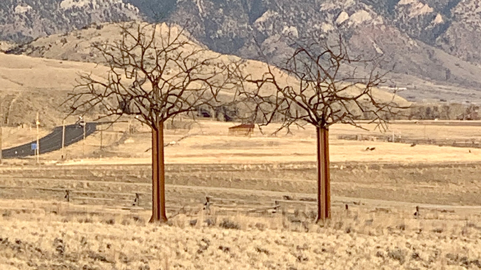 Artist James Geier is more than just a fan of Big Boy, he's also a sculptor. Some of his pieces can be seen on his land near Wapiti, Wyoming, like these titled "Winter Trees."
