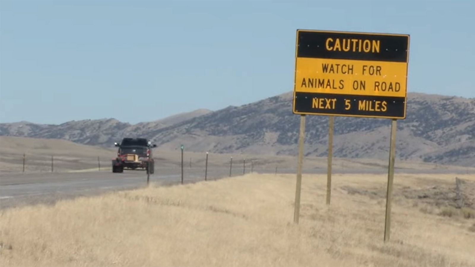 Watch for animals on road sign 8 18 23