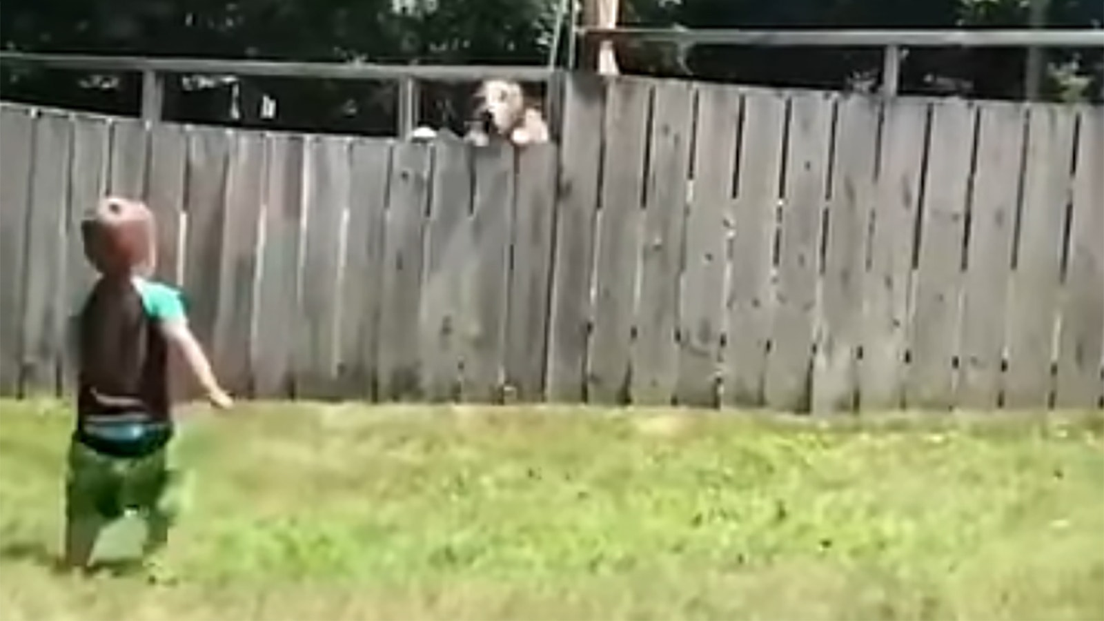 Wednesday Smile 4 1 25