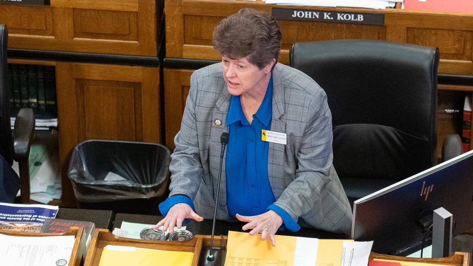 State Sen. Wendy Schuler, R-Evanston.