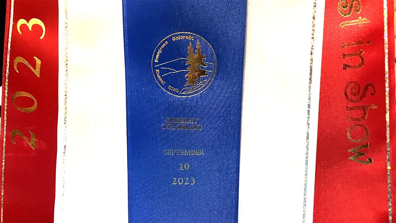 Rowan took the top ribbon as Best in Show during a competition at the Evergreen Kennel Club in Greeley, Colorado in September.
