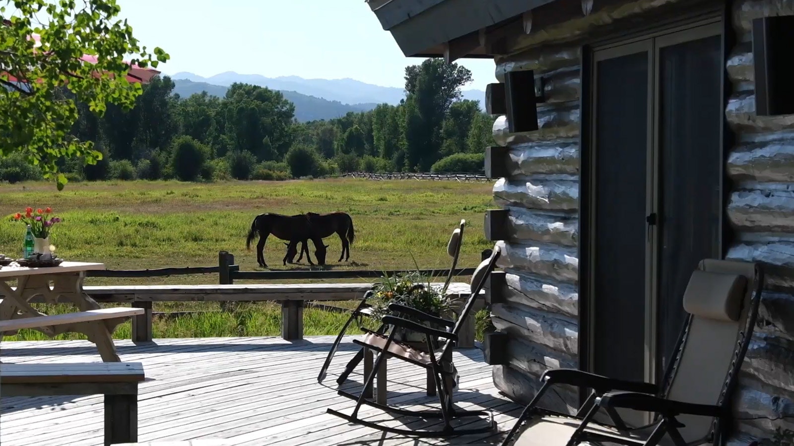 Horse culture is close to the heart of the Western Star Ranch and neighboring properties.