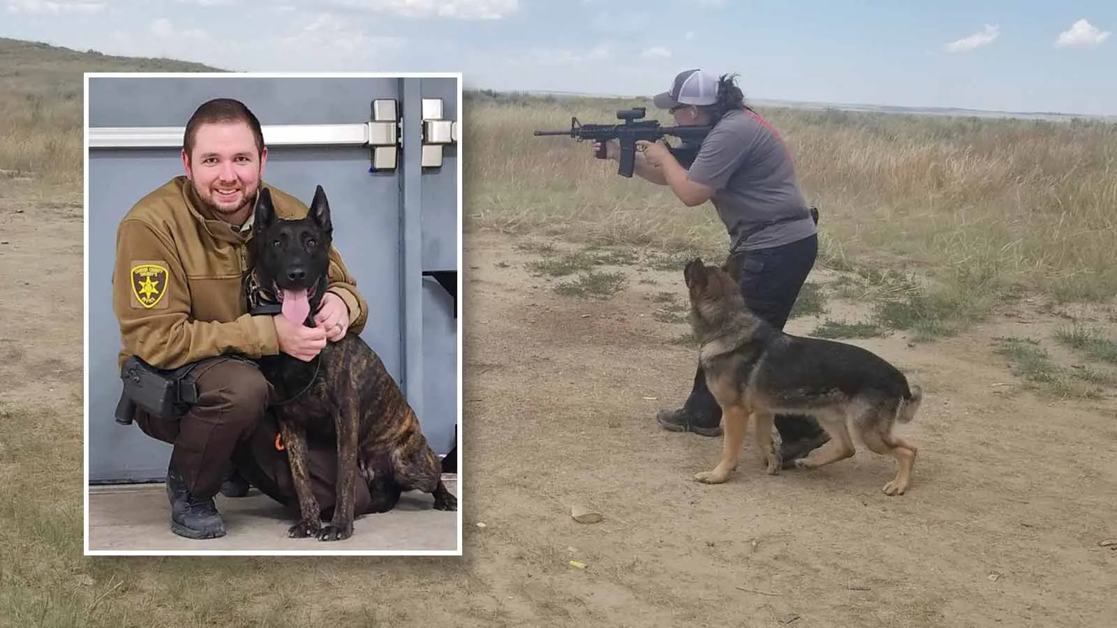 A Police K-9’s Career Is Less Than 10 Years, But They’d Work Forever If You Let ThemKolby FedoreJune 07, 2026
