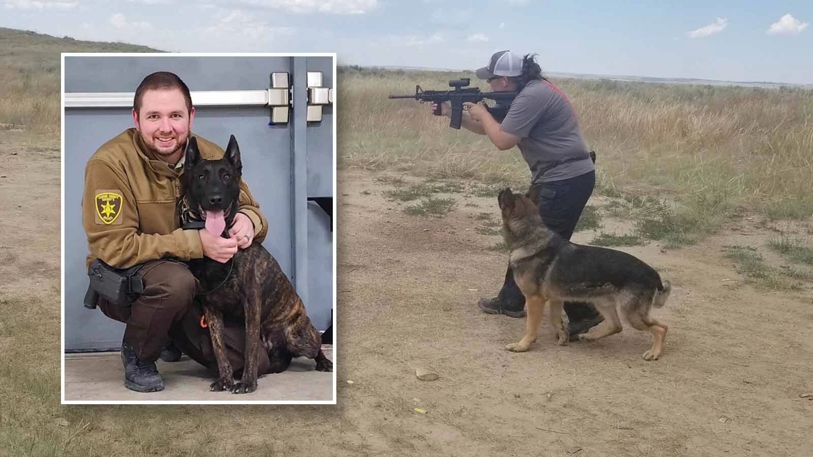 Cpl. David Greeninger, inset, poses with K-9 Mako, a Belgian Malinois who spent the past three years helping Carbon County deputies patrol Interstate 80 as a dual-certified narcotics detection and apprehension dog. Right, Mills Police Department K-9 Archer retired in 2025 after nearly nine years of service and spent the remainder of his life with his handler, Kate Acord. 