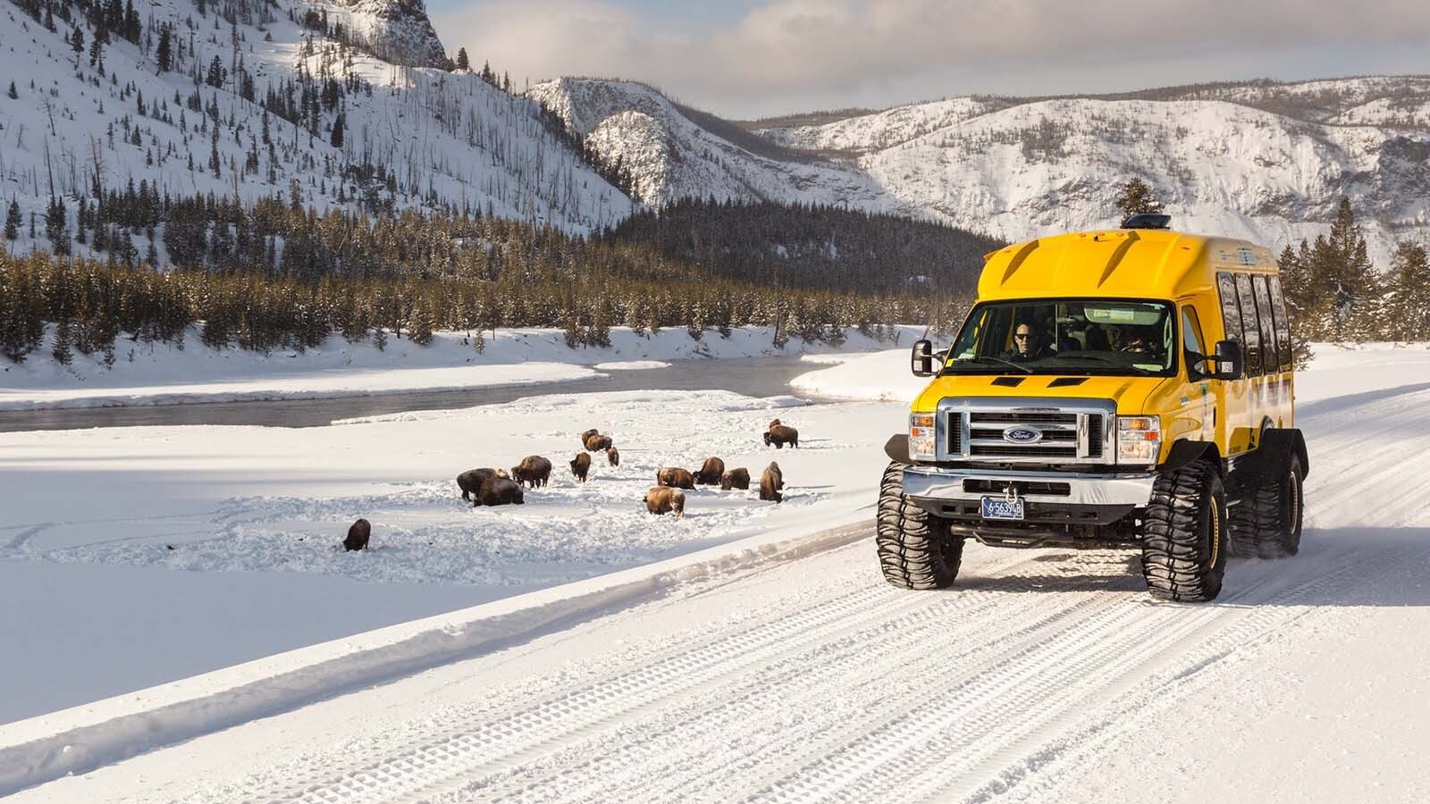 Winter in Yellowstone National Park, where many are drawn to Cooke City for reliably deep snow.