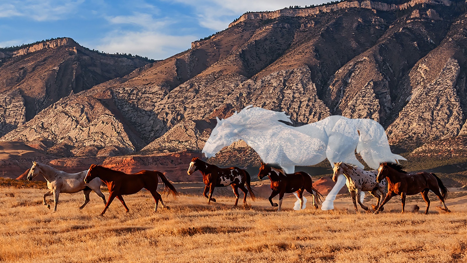 The White Devil was a ghostly white stallion in the 1800s who protected his herds of wild mustangs against the cowboys who attempted to rope them. It is said that this spectral horse still roams the Rattlesnake Range above Casper, Wyoming.