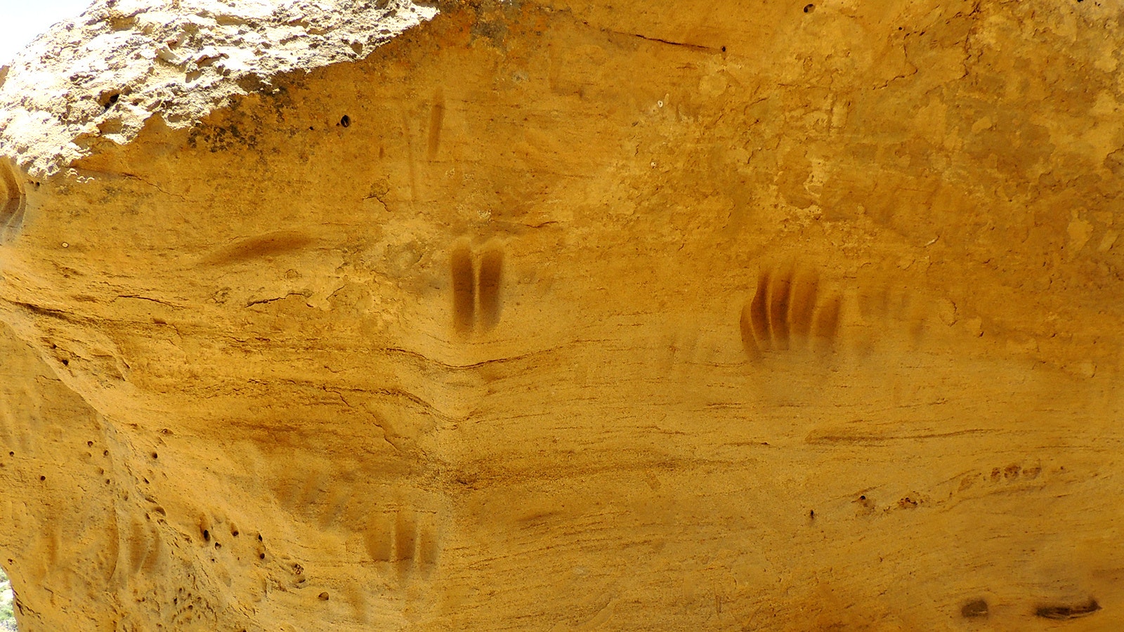 Craig Bromley examines the hand impressions on the sandstone pillar at the White Mountain Petroglyph Site. The deep grooves, resulting from the scratching of human hands over hundreds or thousands of years, are unlike any other petroglyphs in Wyoming.