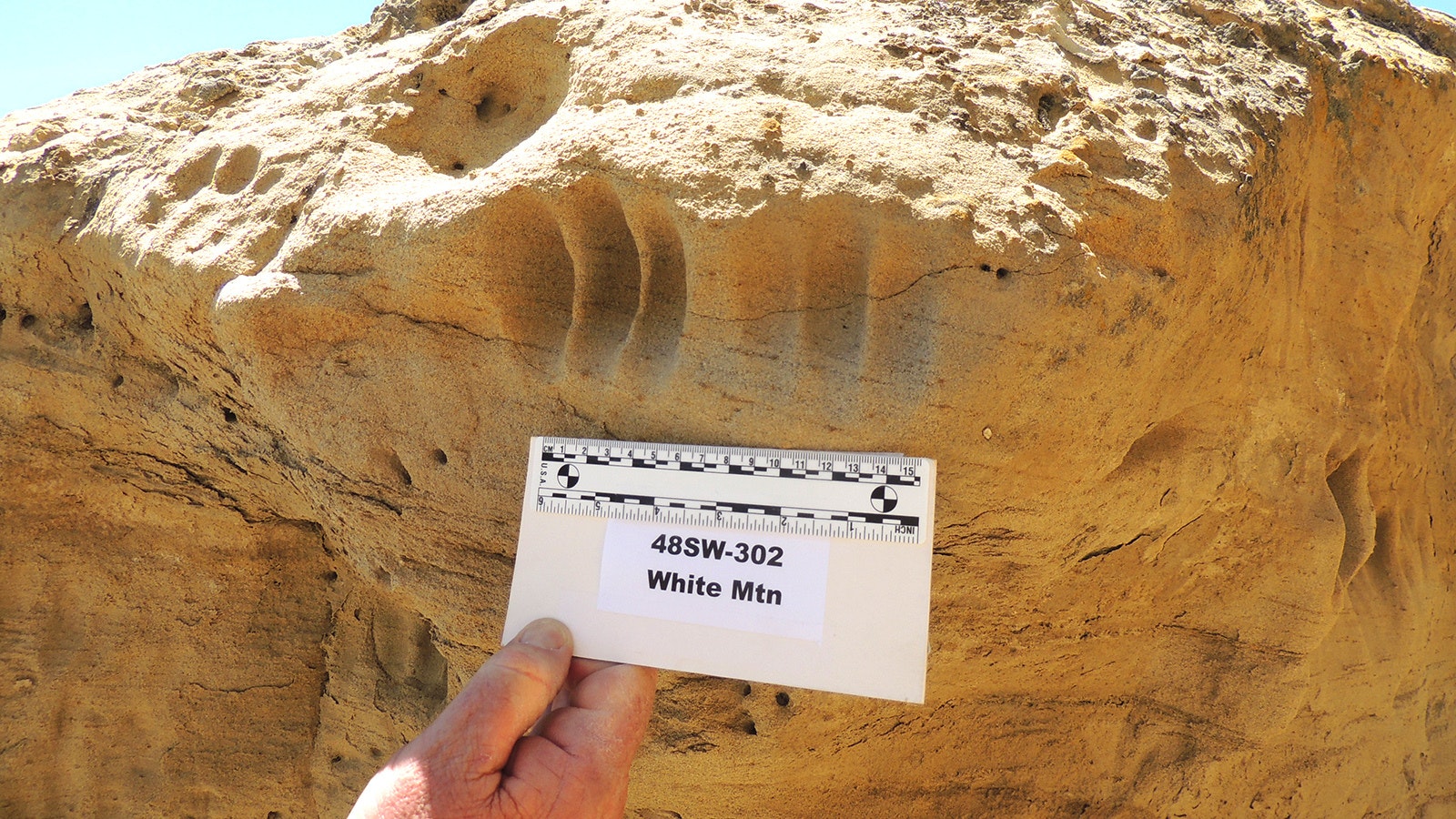 Jim Stewart holds an archaeological scale bar up to a series of hand impressions at the White Mountain Petroglyph Site, 28 miles north of Rock Springs.