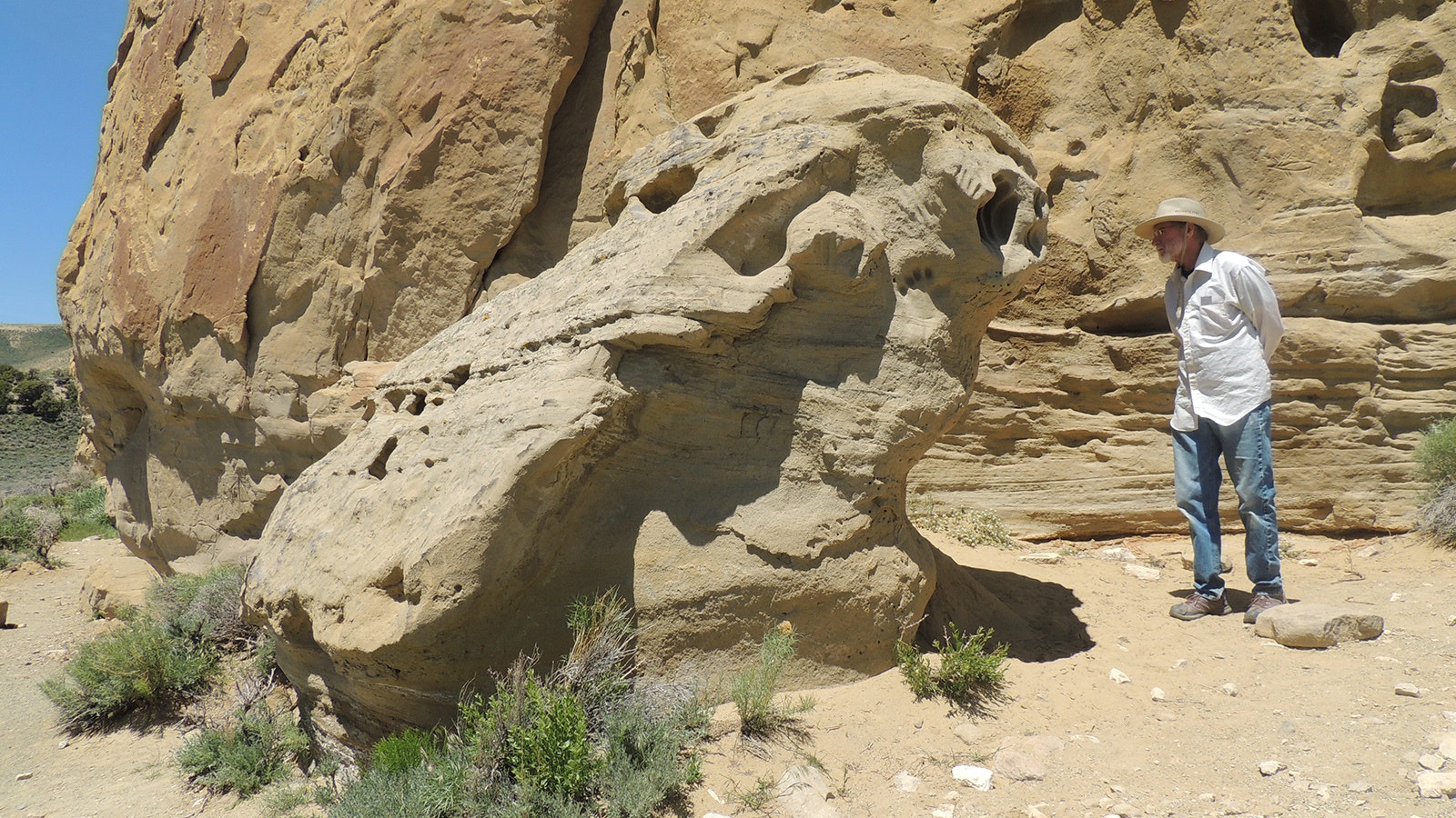 Craig Bromley examines the hand impressions on the sandstone pillar at the White Mountain Petroglyph Site. The deep grooves, resulting from the scratching of human hands over hundreds or thousands of years, are unlike any other petroglyphs in Wyoming.