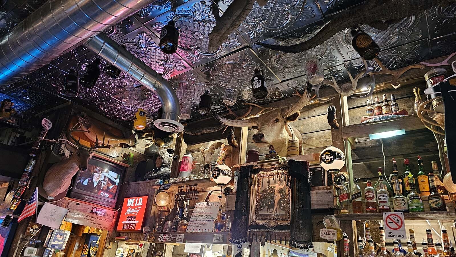 The White Wolf Saloon's new owner took eight truckloads of stuff out of the saloon in Douglas — but says he put a lot of it back in, with his own knickknacks. The result is the bar still looks busy, but it has new conversation starters.