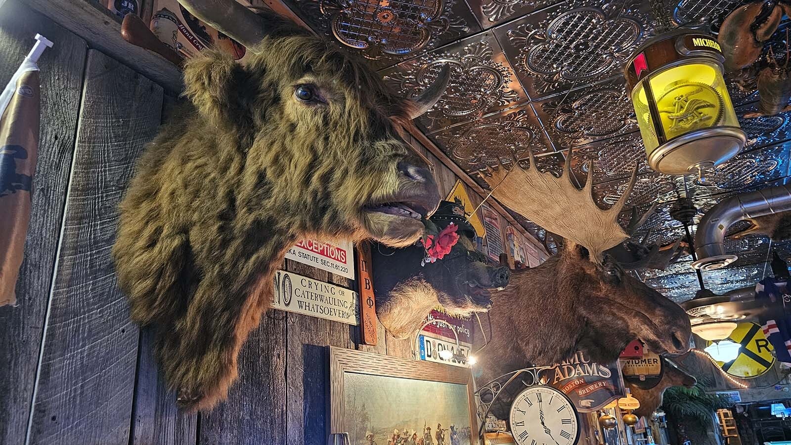 Taxidermy animals remain at the White Wolf Saloon, whose new owner was born and raised in Douglas.