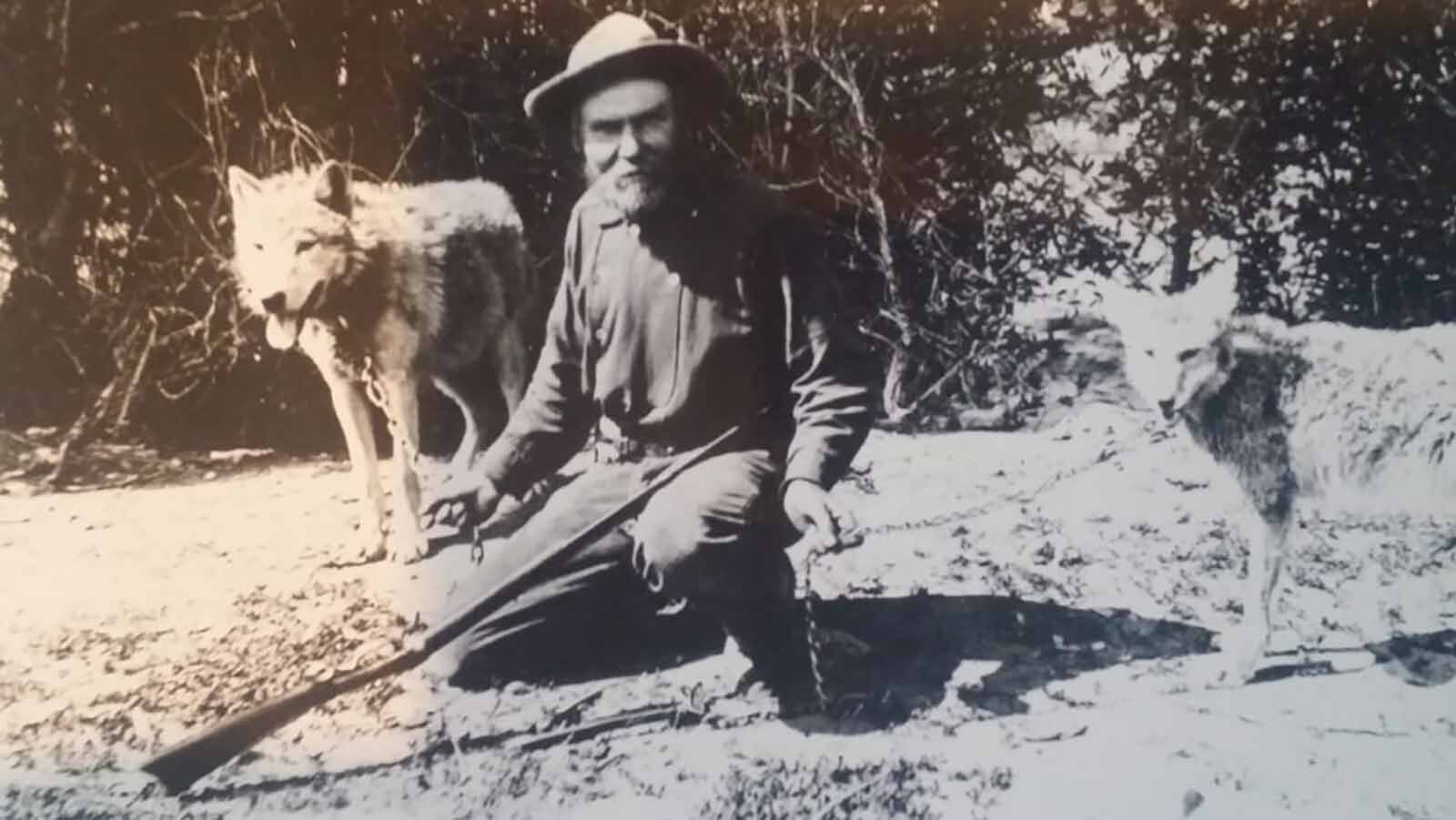 Wildcat Sam was a trapper who lived his life in the mountains. He kept for pets a wolf and coyote and once survived a night listening to over one hundred wolves meeting in a strange council along Powder River.