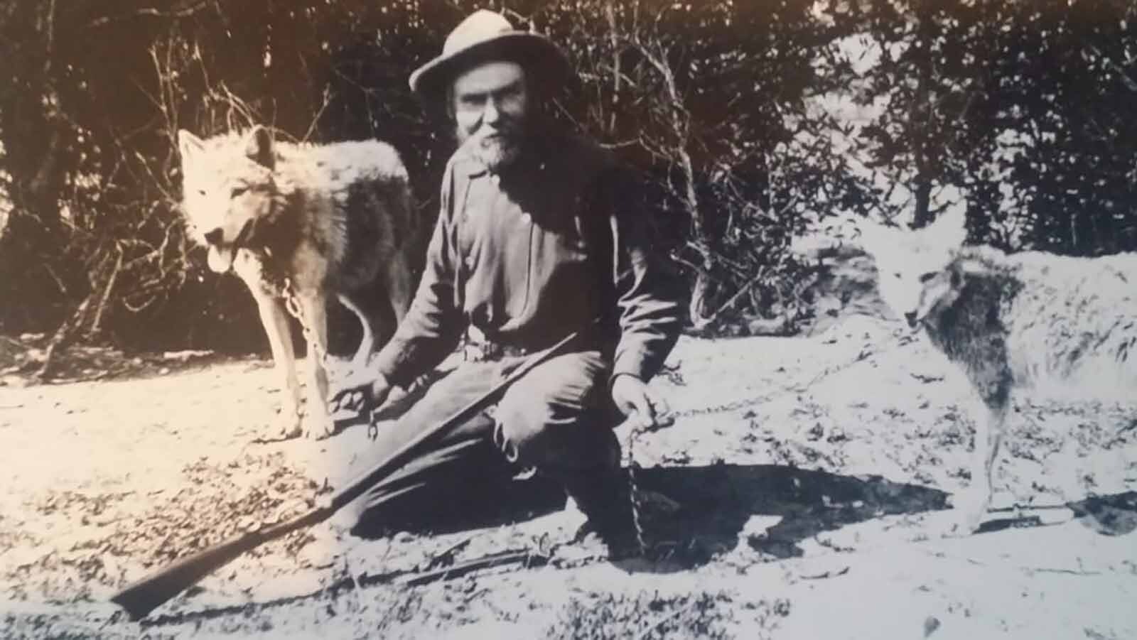 Wildcat Sam was a trapper who lived his life in the mountains. He kept for pets a wolf and coyote and once survived a night listening to over one hundred wolves meeting in a strange council along Powder River.
