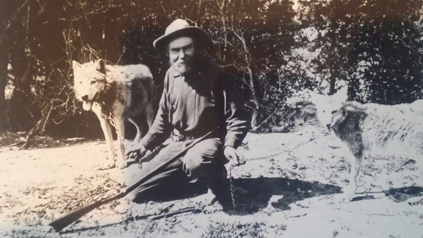 Wildcat Sam Abernathy shown with two of his pets.