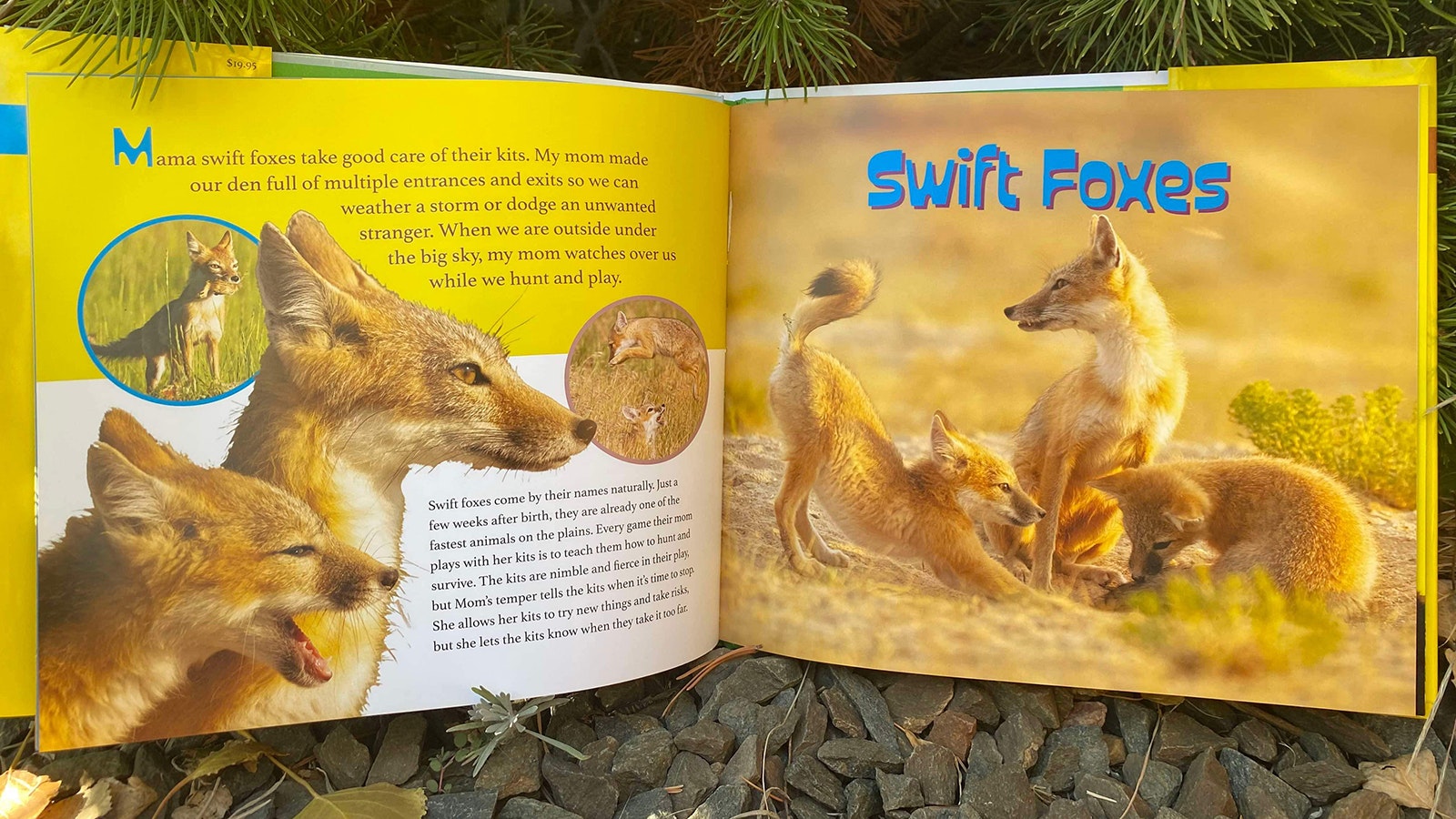 The book shares photos and information about a variety of animals including mountain goats, swift foxes and loons.