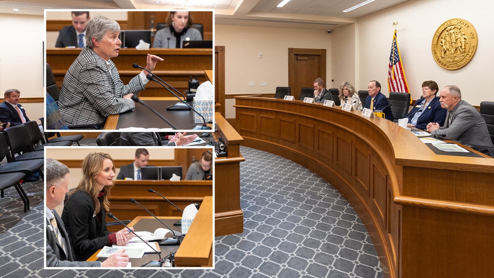 University of Wyoming professor Merav Ben-David, above, and Wyoming Game and Fish Director Angi Bruce, below, testify Tuesday for the Sentate Travel, Recreation, Wildlife and Cultural Resources Committee.