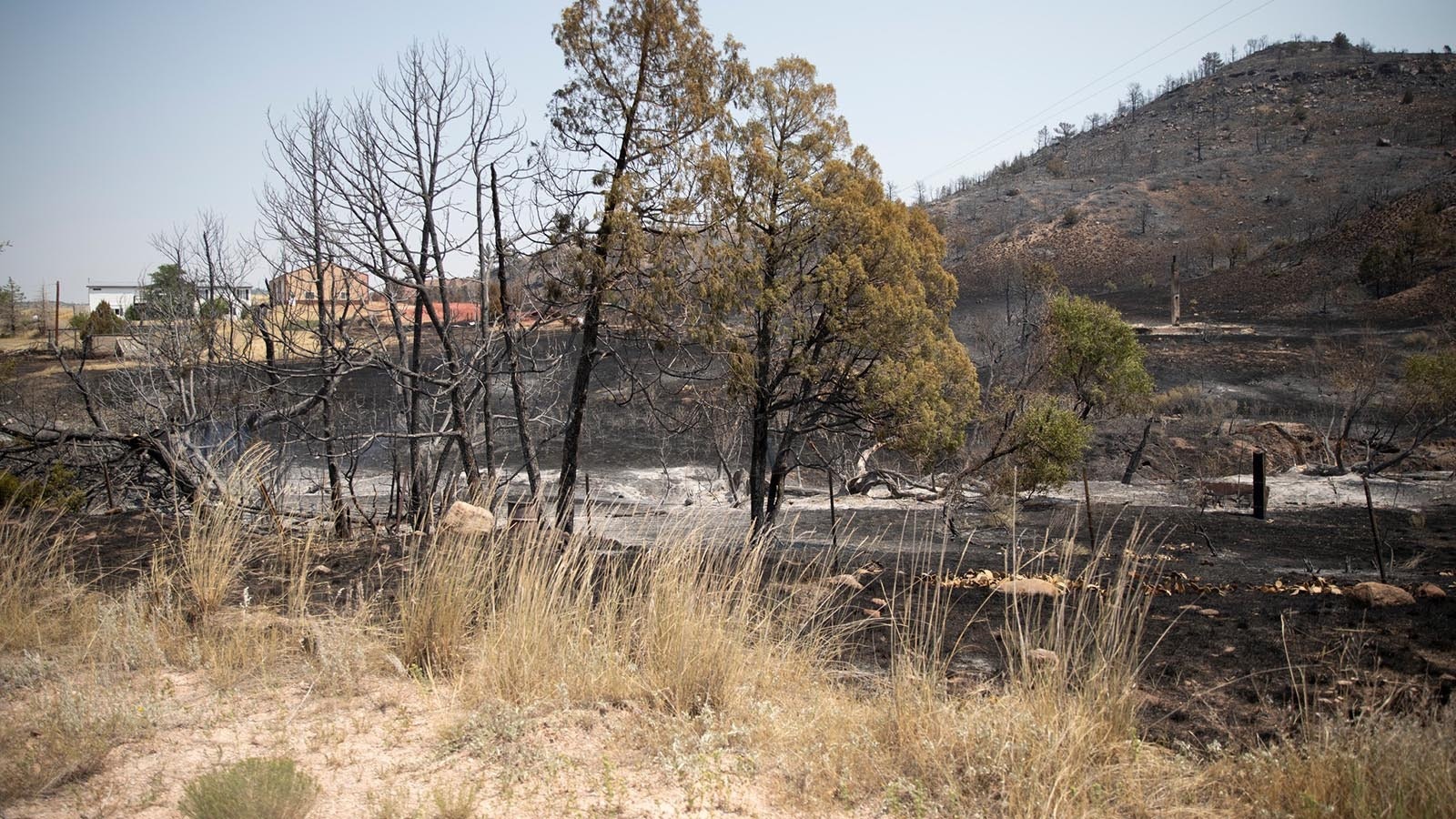 About 28,000 acres have burned around the Hartville and Guernsey areas in easter Wyoming, leaving a lot of scorched earth behind.