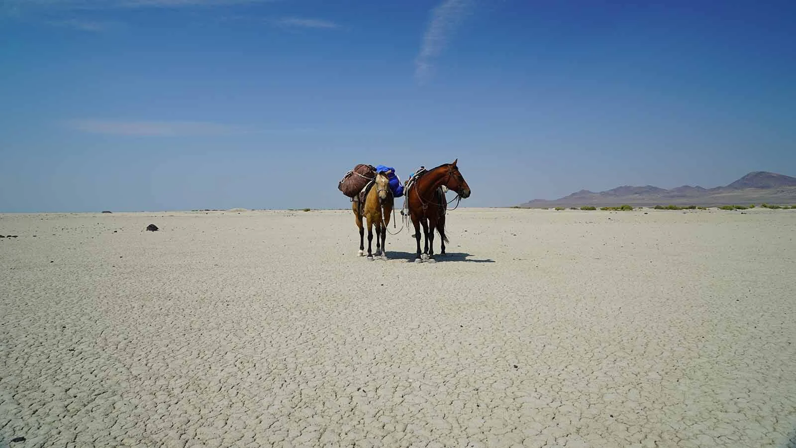 Colorado cowboy and journalist Will Grant rode all 2,000 miles of the Pony Express trail on horseback. His trip was inspired by the legacy of America’s pioneers, and he said their Code-of-the-West grit and hospitality is still alive, especially in Wyoming.