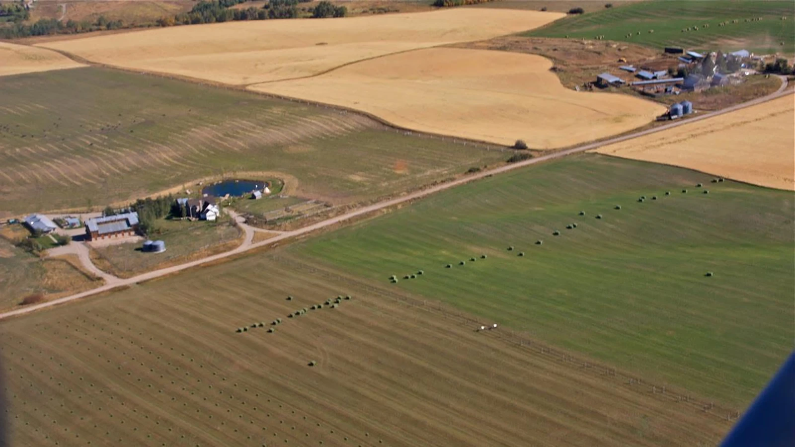 An aerial view of part of the Wilson farm in Alta. The Wilsons farm 1,500 acres in the area.